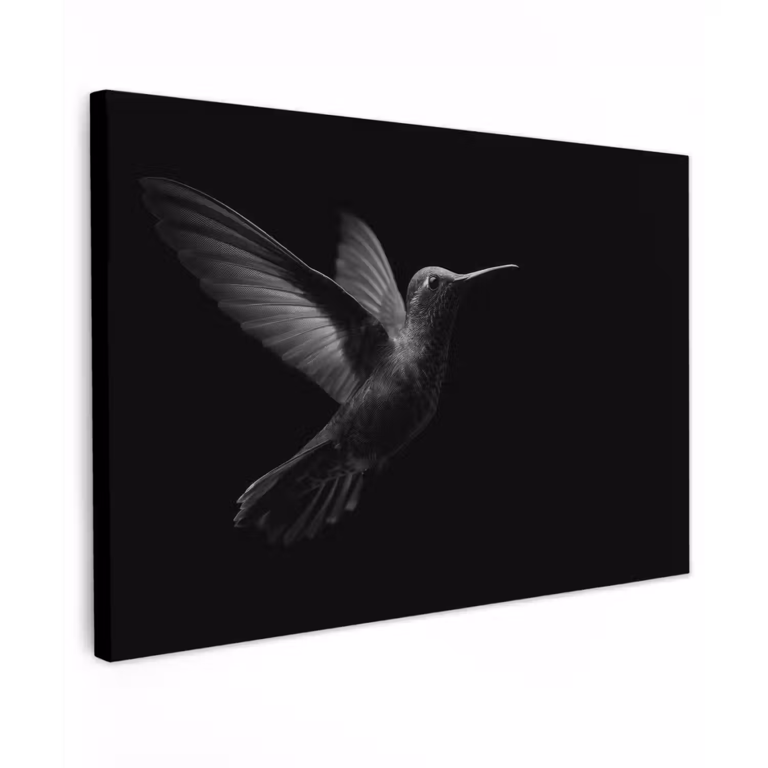 Kolibrie - Zwart - Dieren Tuinposter op houten frame 2 cm dik klein -3d