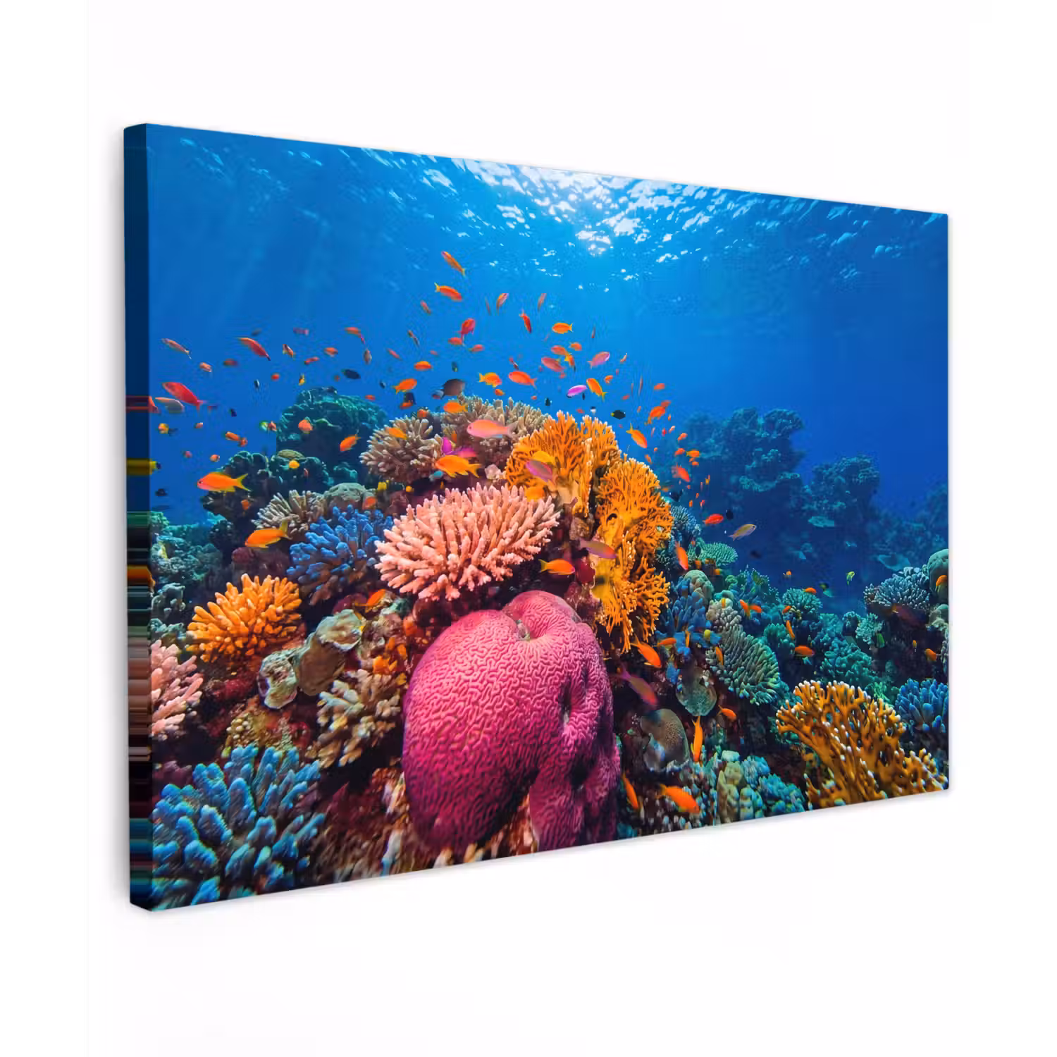 Koraal - Vissen - Oceaan - Natuur - Kleurrijk Tuinposter op houten frame 2 cm dik klein -3d