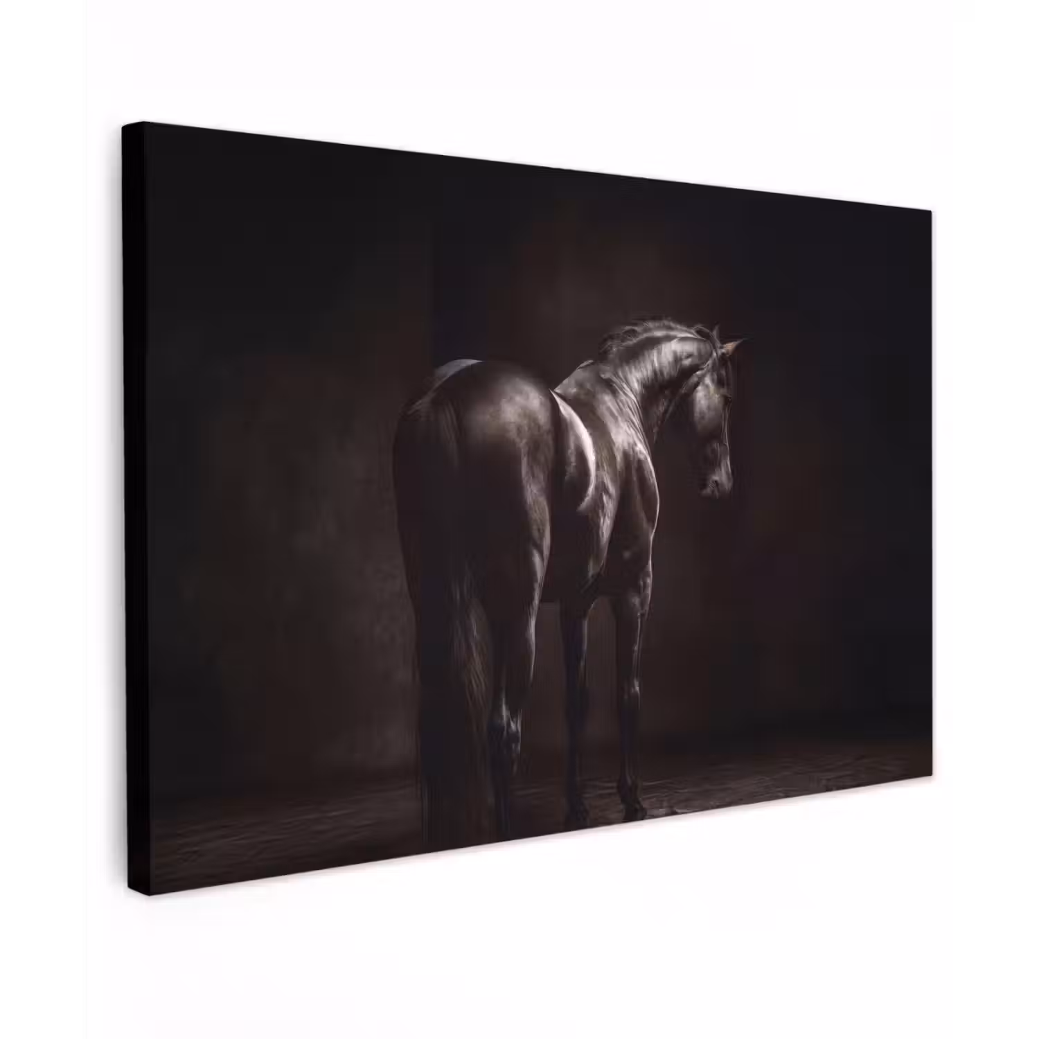 Krachtig - Paard - Donker Tuinposter op houten frame 2 cm dik klein -3d