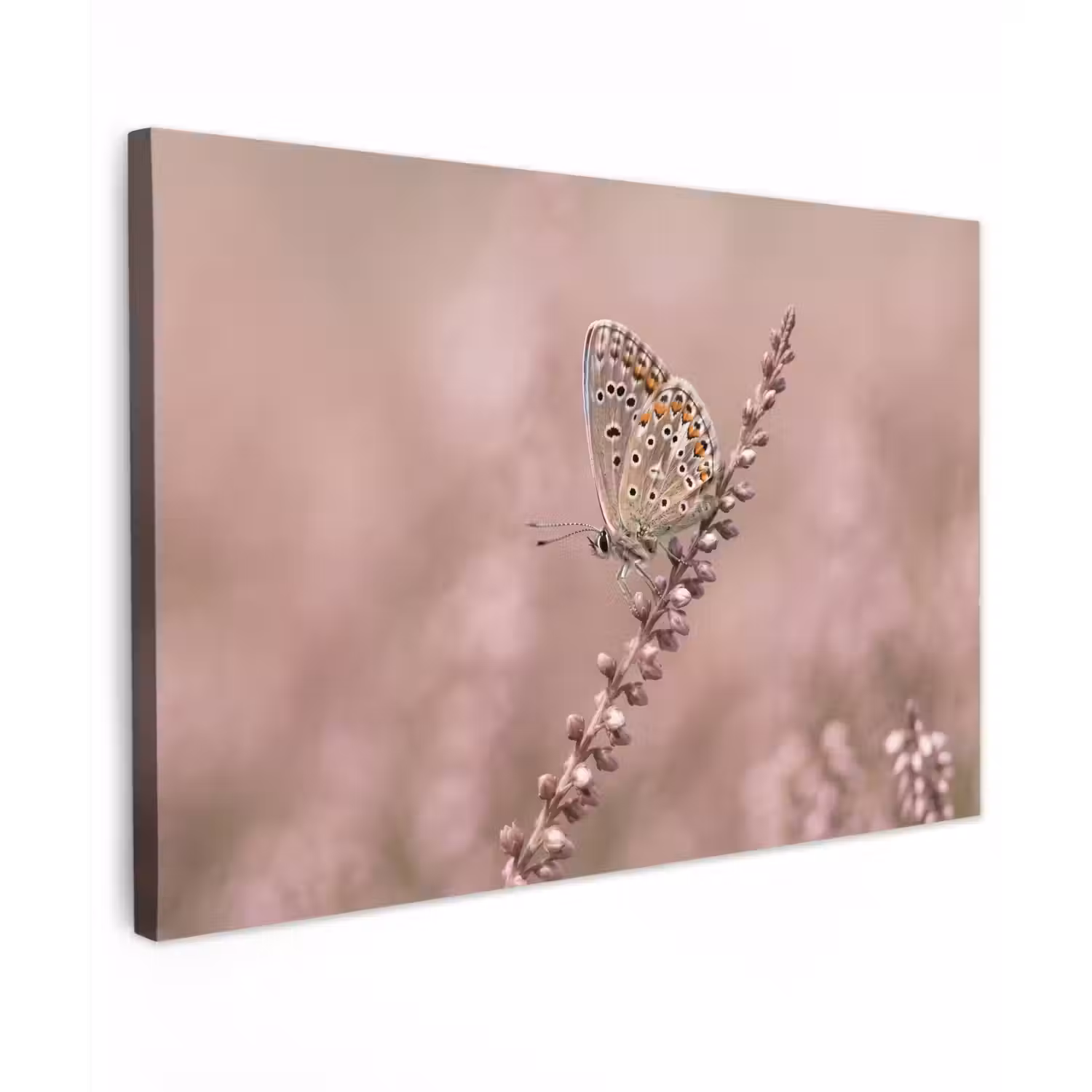 Lavendel - Vlinder - Paars Tuinposter op houten frame 2 cm dik klein -3d