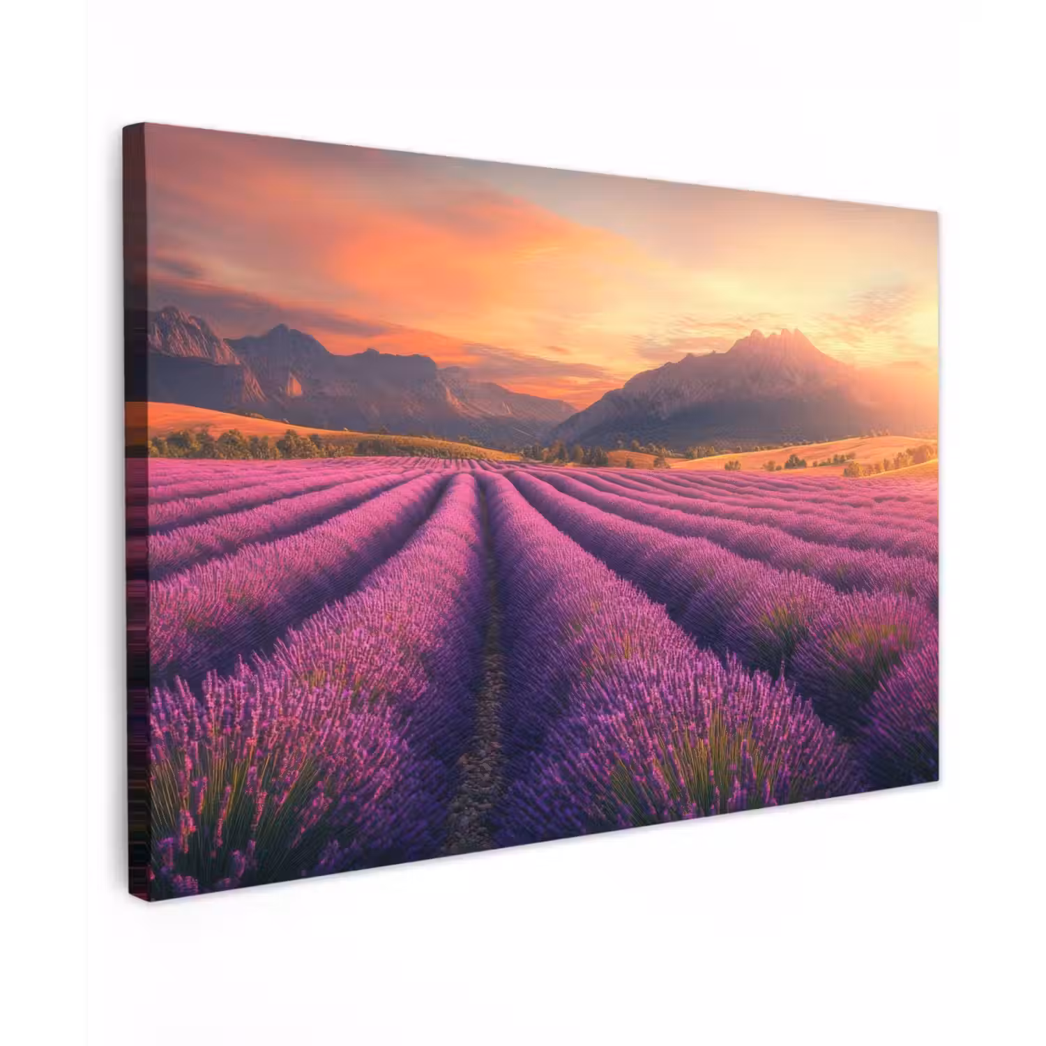 Lavendelveld - Zonsondergang - Paars Tuinposter op houten frame 2 cm dik klein -3d