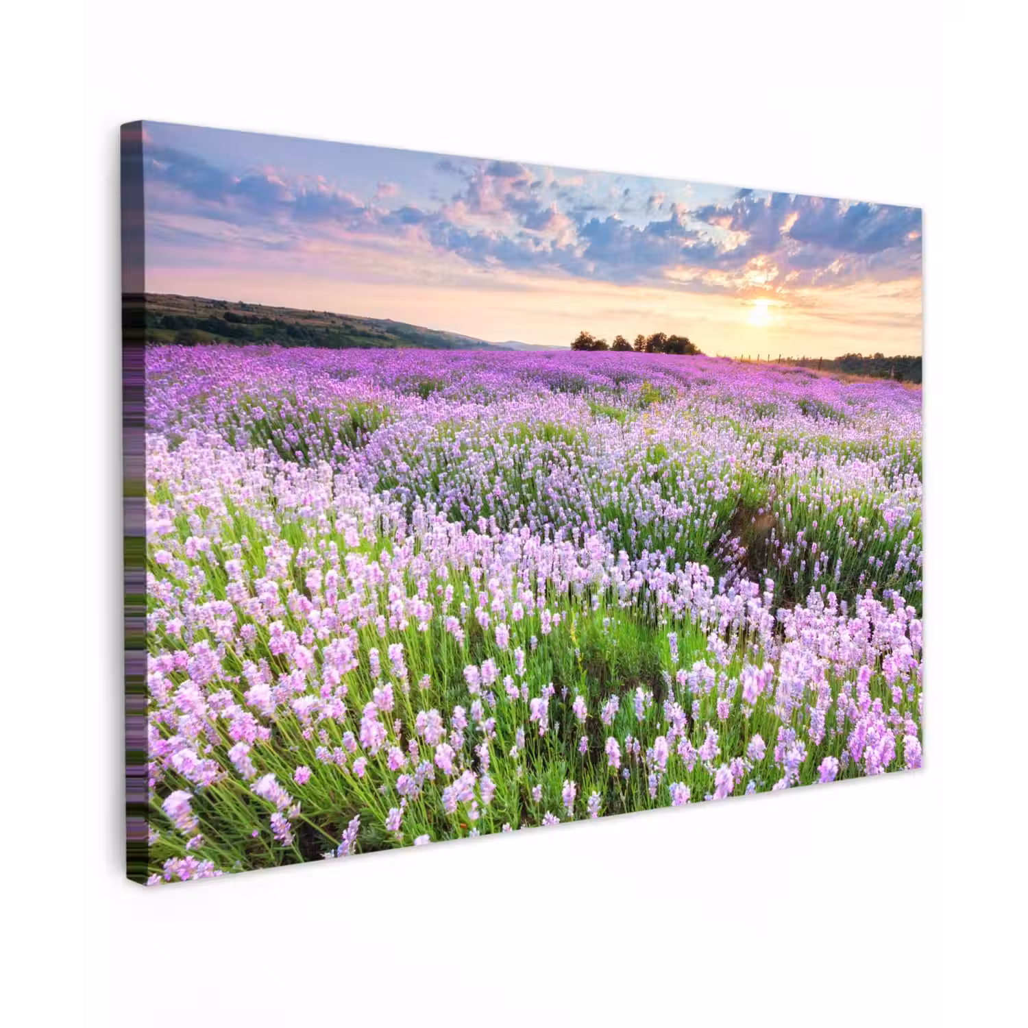 Lavendelvelden bij zonsondergang Tuinposter op houten frame 2 cm dik klein -3d
