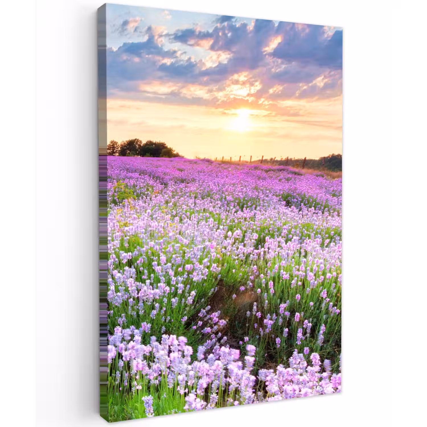 Lavendelvelden in de schemering Tuinposter op houten frame 2 cm dik klein -3d