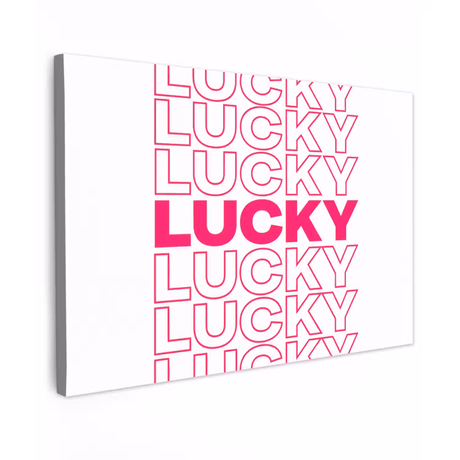 Lucky - Roze - Patroon Tuinposter op houten frame 2 cm dik klein -3d
