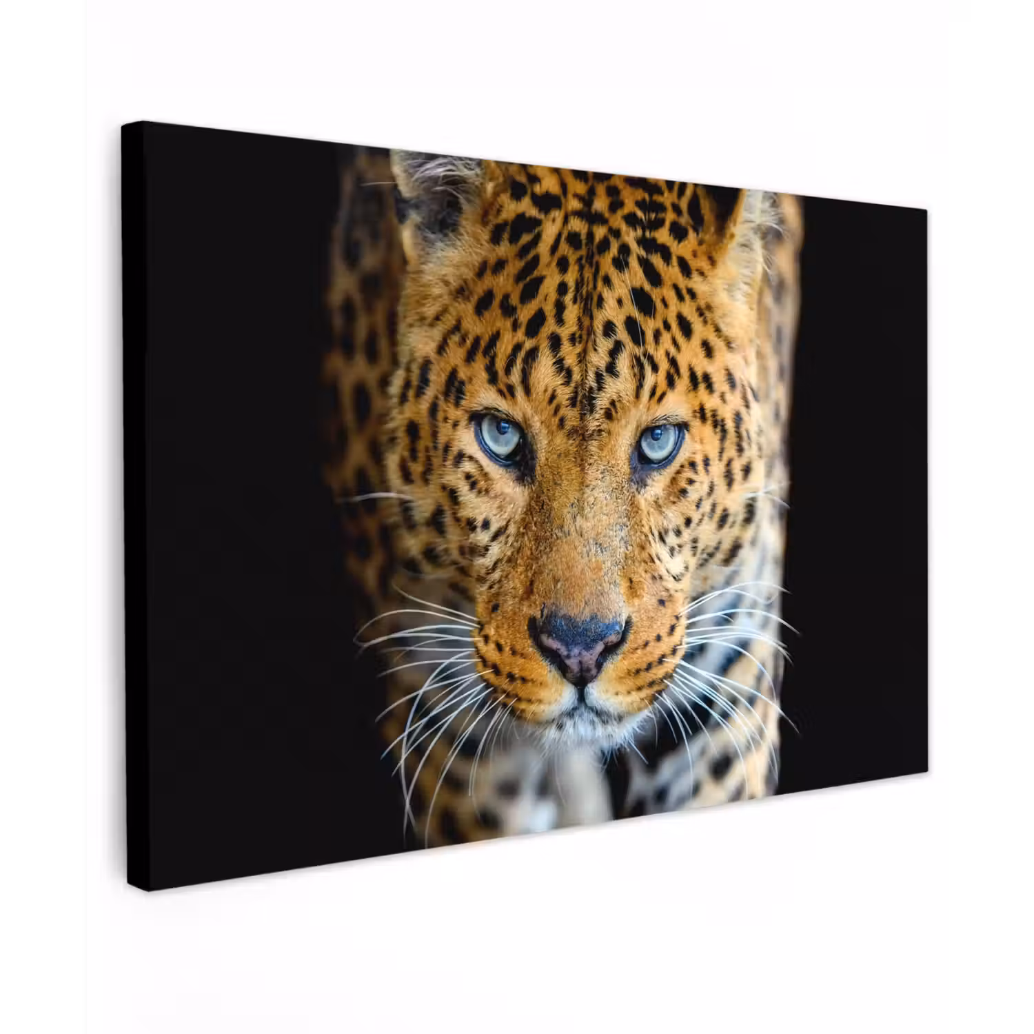 Luipaard - Dieren - Portret - Wilde dieren - Zwart Tuinposter op houten frame 2 cm dik klein -3d