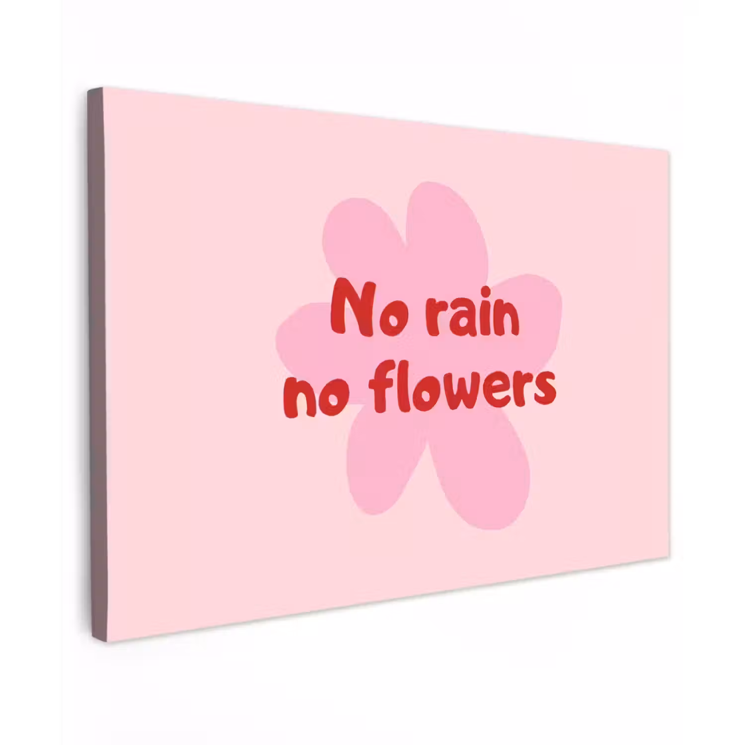 No rain no flowers - Bloem - Roze Tuinposter op houten frame 2 cm dik klein -3d