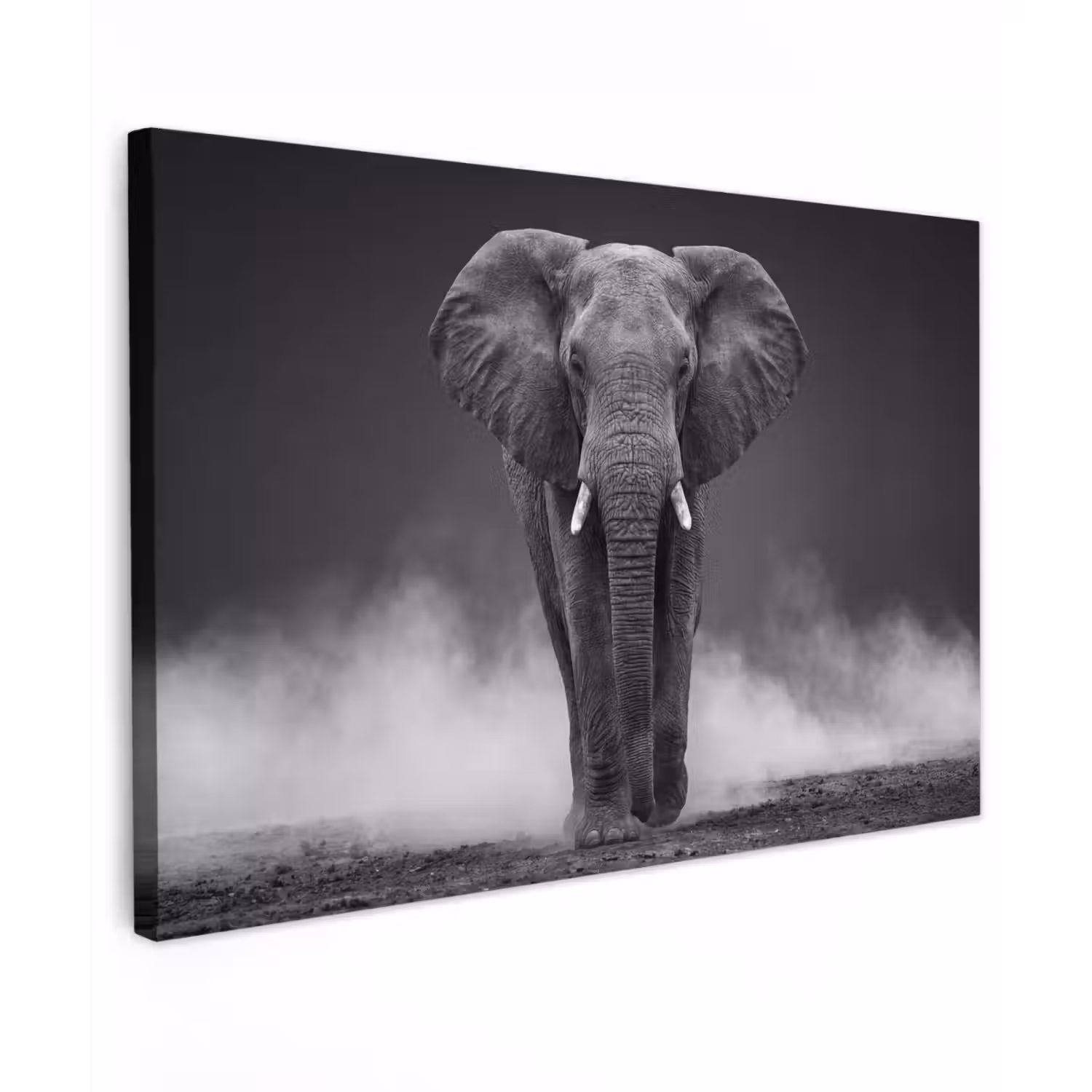 Olifant - Zwart - Wit - Rook Tuinposter op houten frame 2 cm dik klein -3d