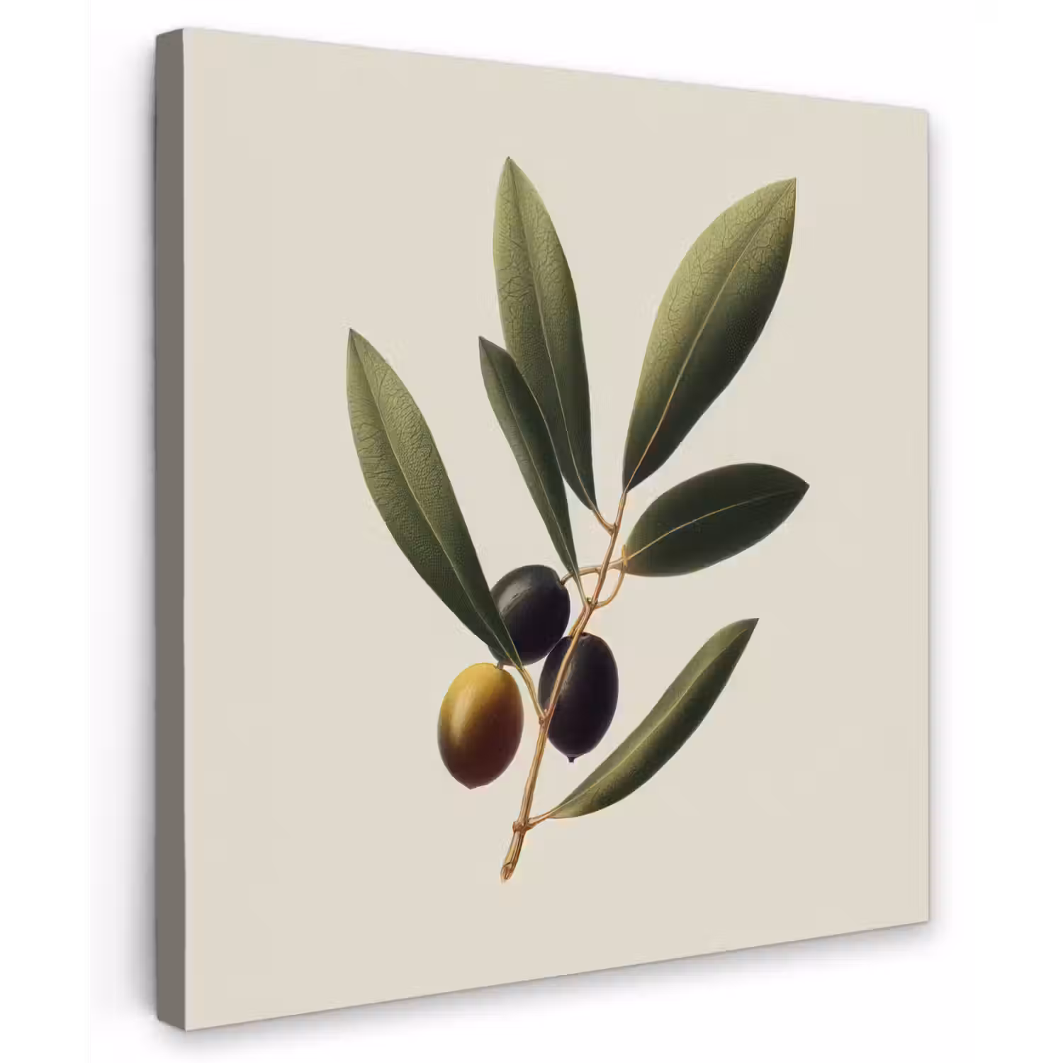 Olijftak - Donkergroen - Olijven Tuinposter op houten frame 2 cm dik middel -3d