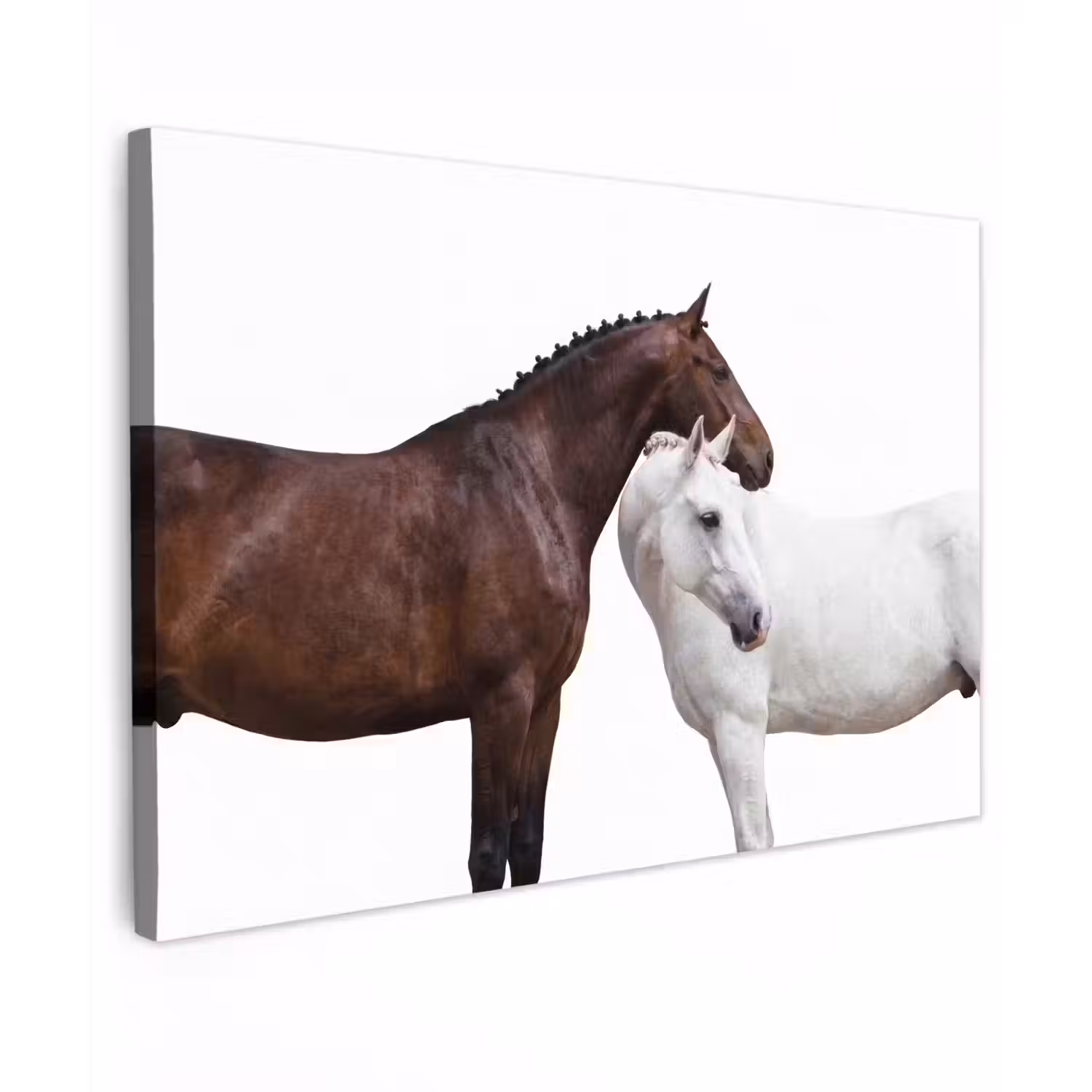 Paard - Modern - Balans Tuinposter op houten frame 2 cm dik klein -3d