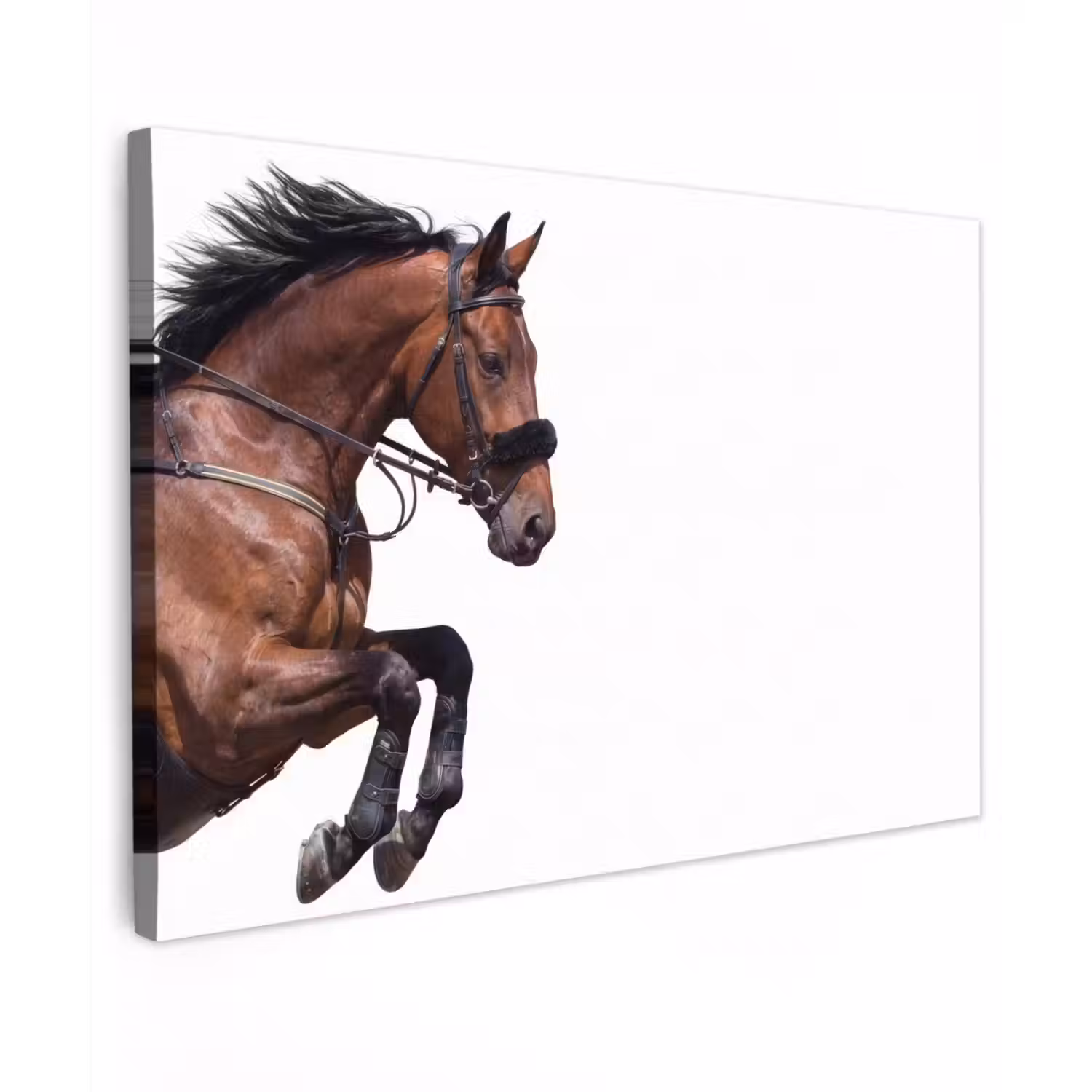 Paard - Springen - Modern Tuinposter op houten frame 2 cm dik klein -3d