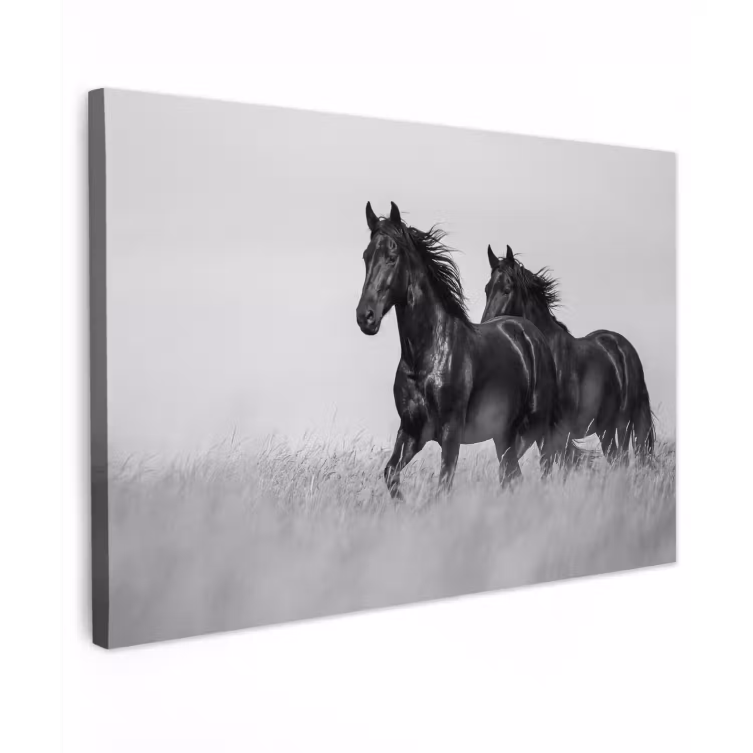 Paarden - Gras - Zwart - Wit Tuinposter op houten frame 2 cm dik klein -3d