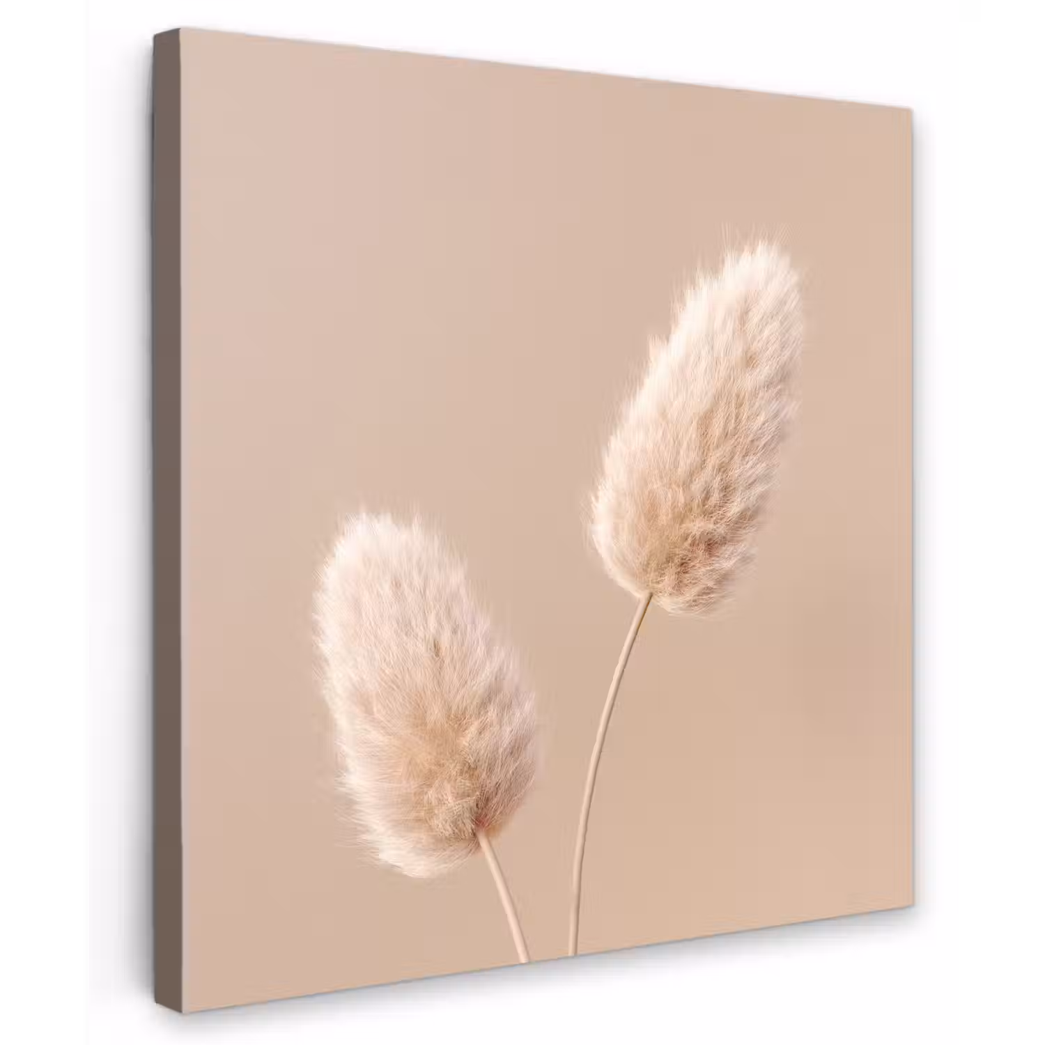 Pampas pluimen - Beige - Planten Tuinposter op houten frame 2 cm dik middel -3d