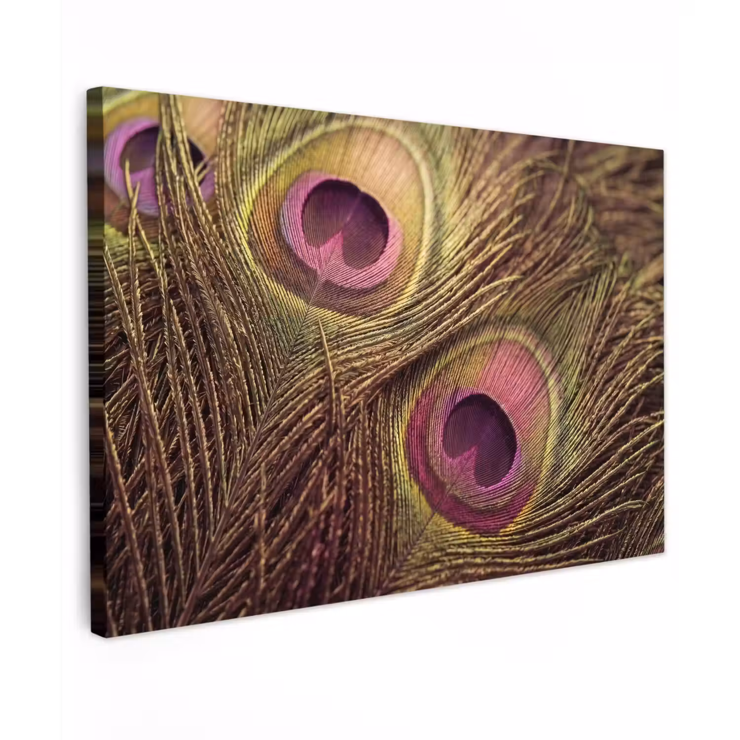Pauw - Veren - Paars - Groen Tuinposter op houten frame 2 cm dik klein -3d