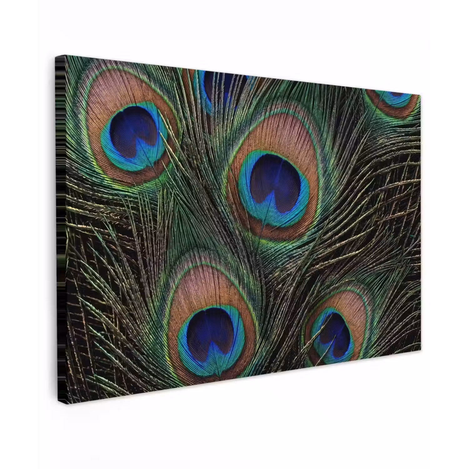 Pauwenveren - Klassiek - Groen Tuinposter op houten frame 2 cm dik klein -3d