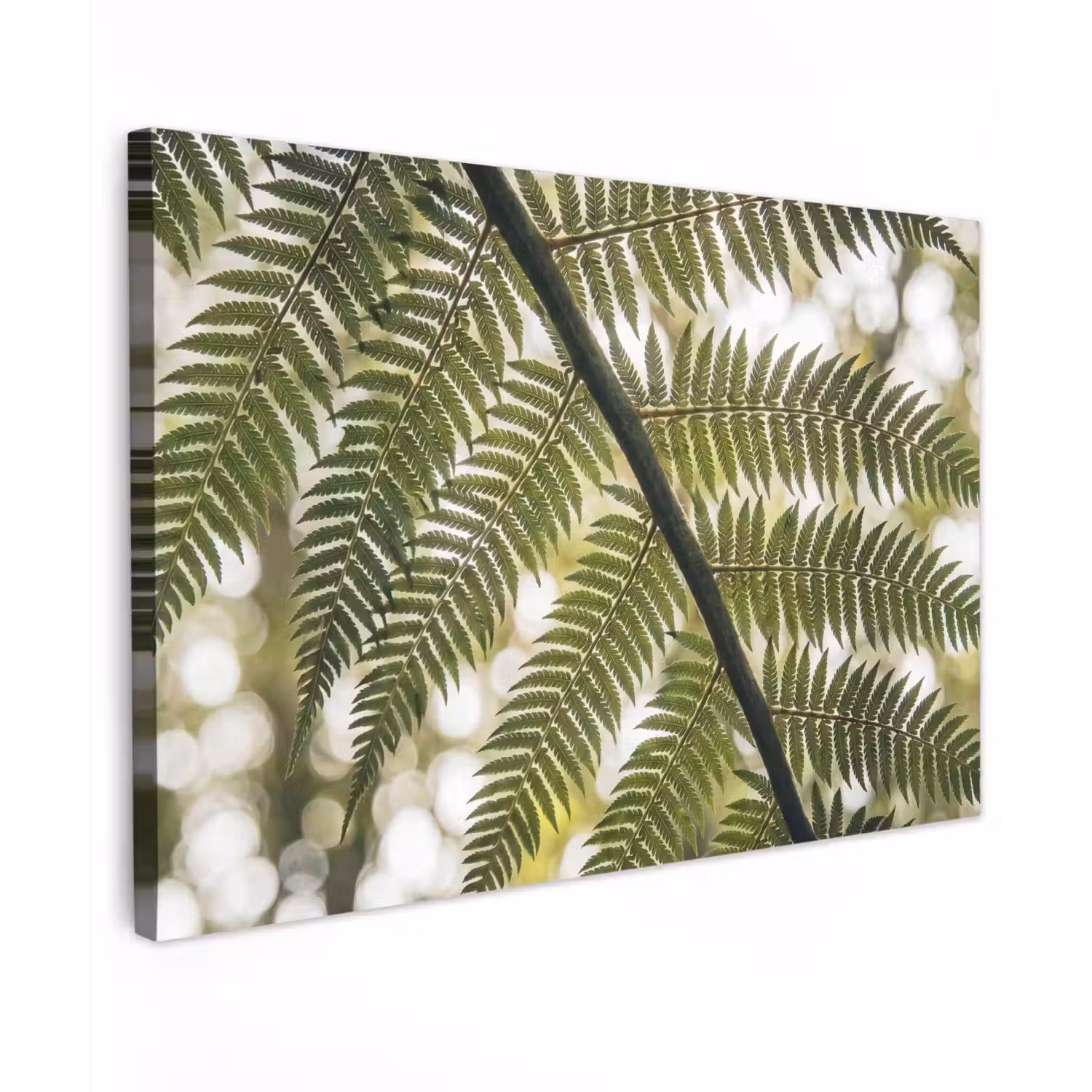 Plant - Blad - Natuur - Groen - Detail Tuinposter op houten frame 2 cm dik klein -3d