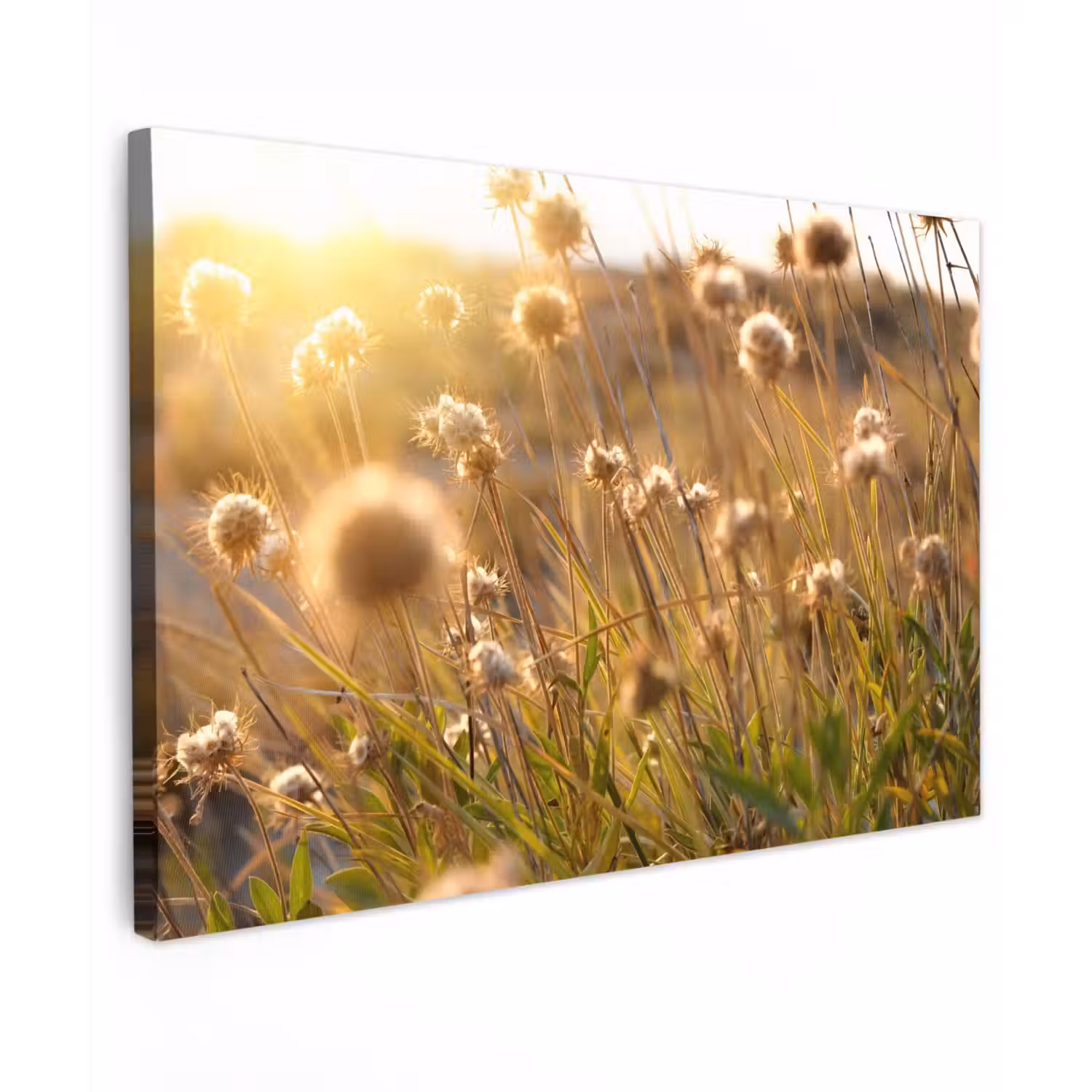 Planten - Natuur - Bloemen - Zon - Horizon Tuinposter op houten frame 2 cm dik klein -3d