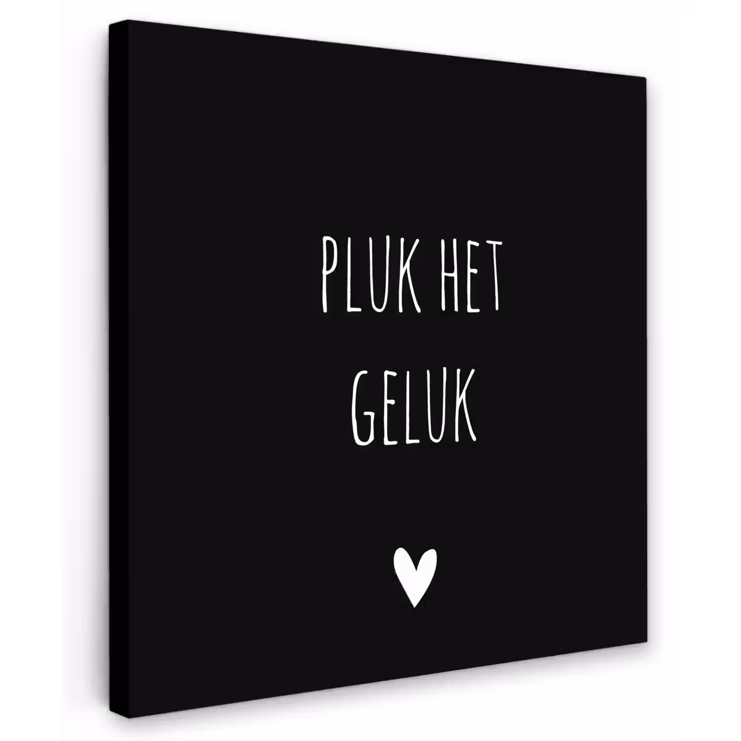 Quote - Spreuken - Pluk het geluk Tuinposter op houten frame 2 cm dik middel -3d