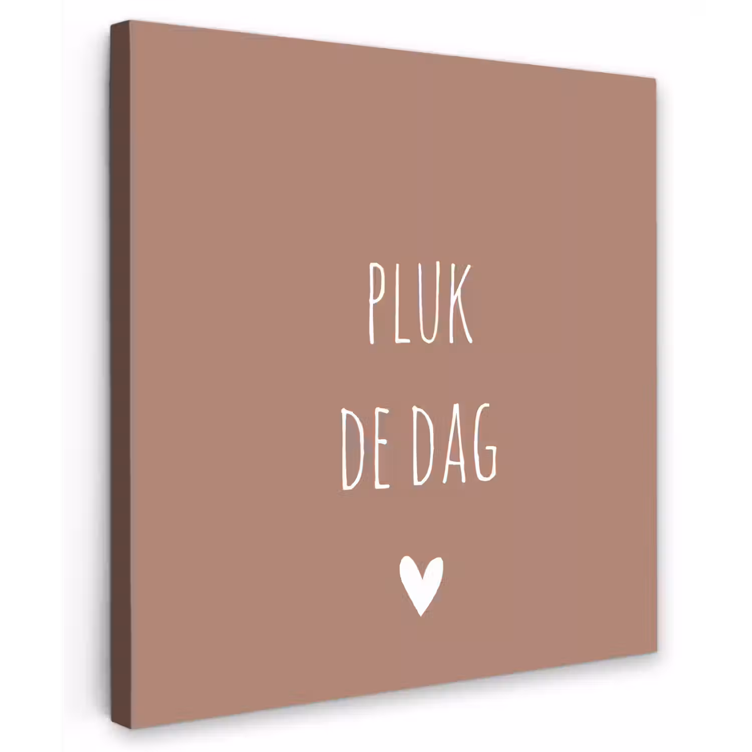 Quotes - Carpe diem - Pluk de dag - Spreuken Tuinposter op houten frame 2 cm dik middel -3d