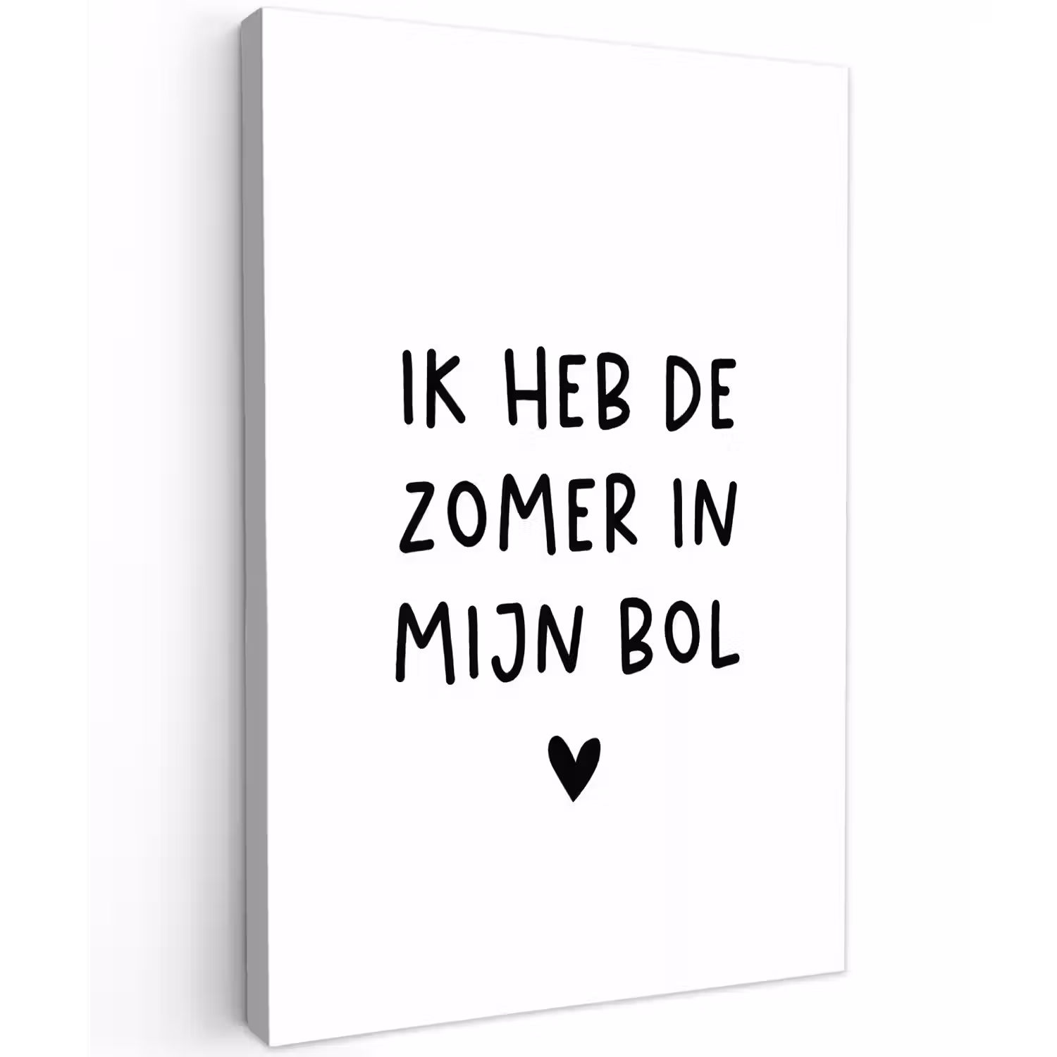 Quotes - Spreuken - André Hazes - Ik heb de zomer in mijn bol Tuinposter op houten frame 2 cm dik klein -3d