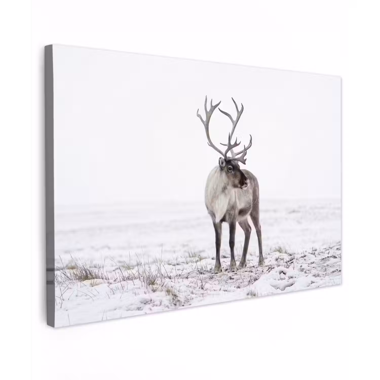 Rendier - Gewei - Sneeuw - Winter Tuinposter op houten frame 2 cm dik klein -3d