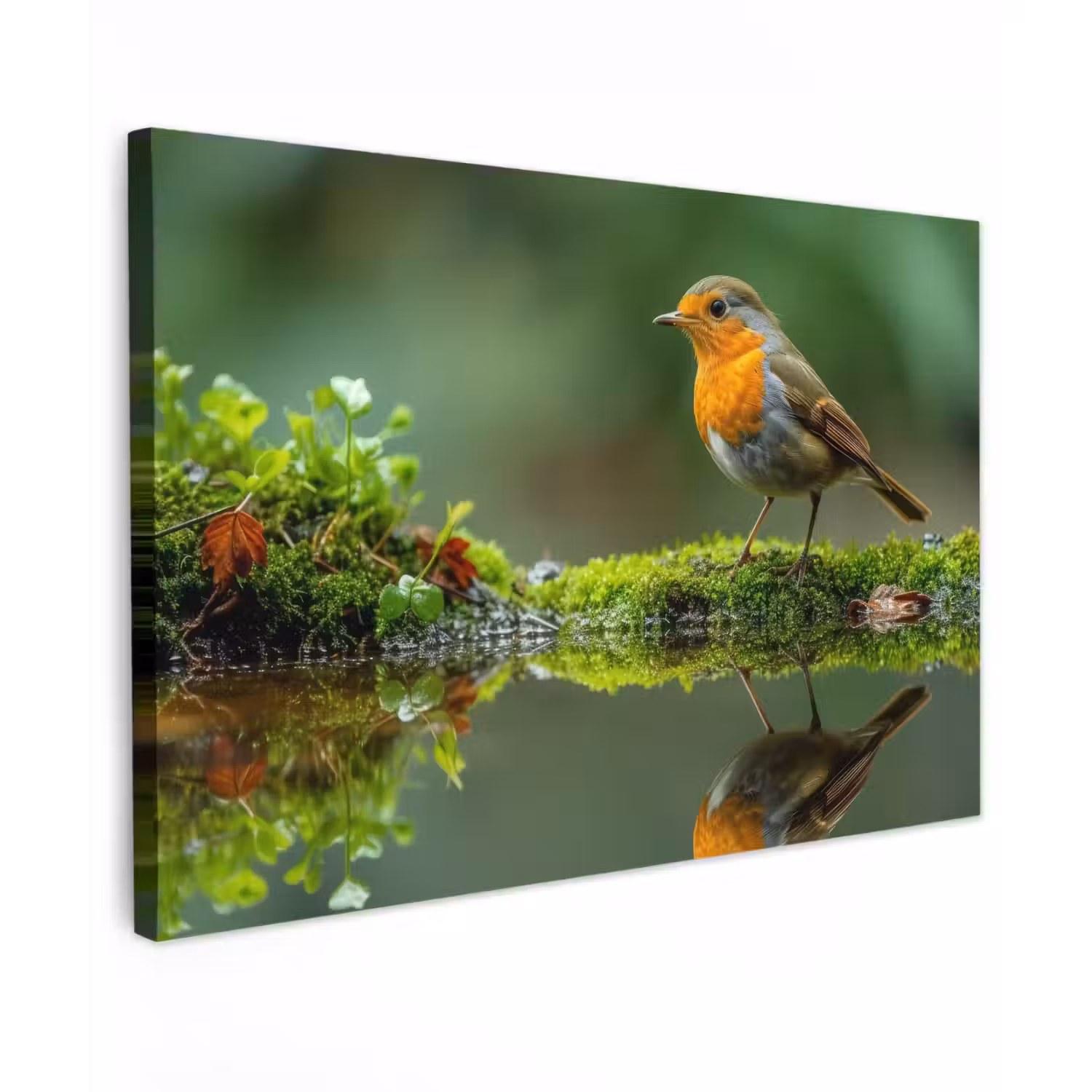 Roodborstje bij het Water Tuinposter op houten frame 2 cm dik klein -3d