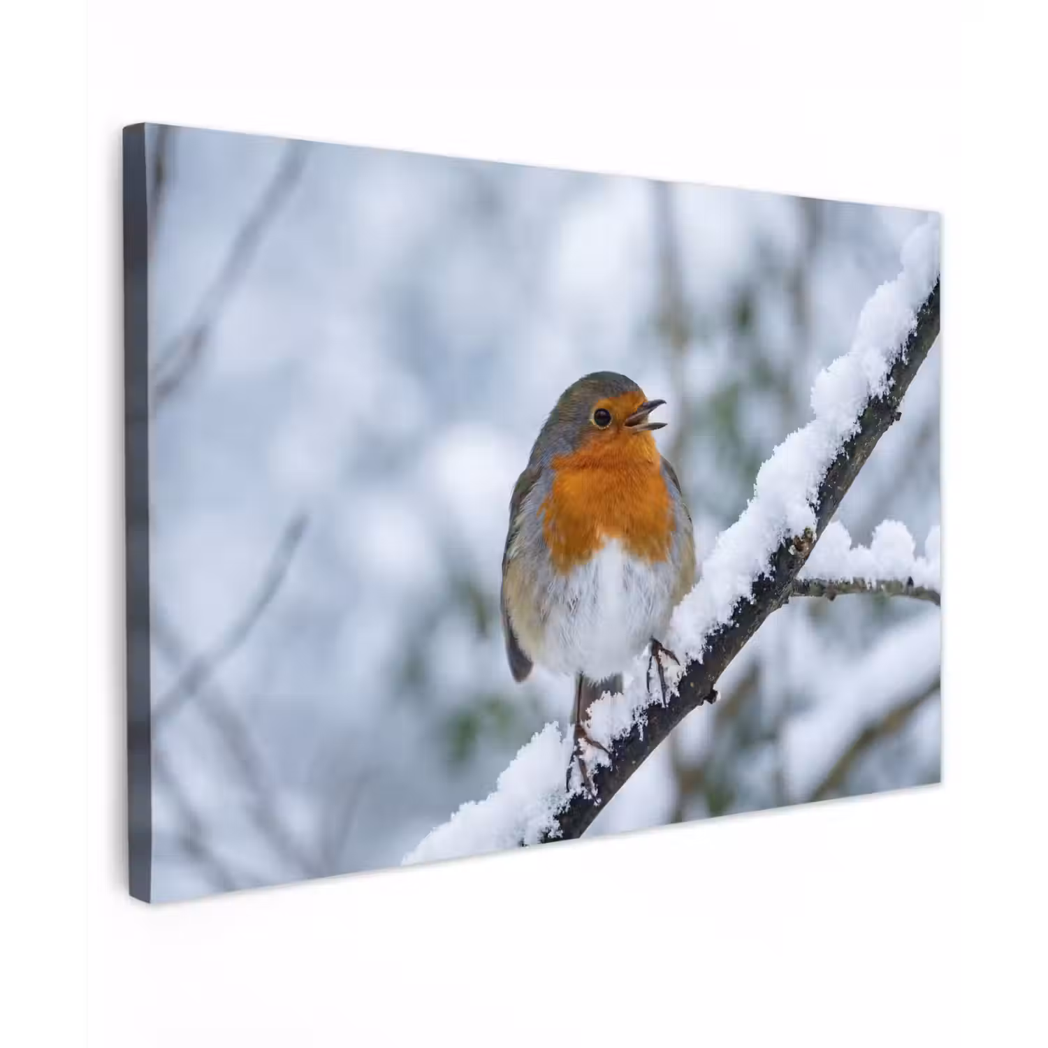 Roodborstje - Tak - Sneeuw - Winter - Levendig Tuinposter op houten frame 2 cm dik klein -3d