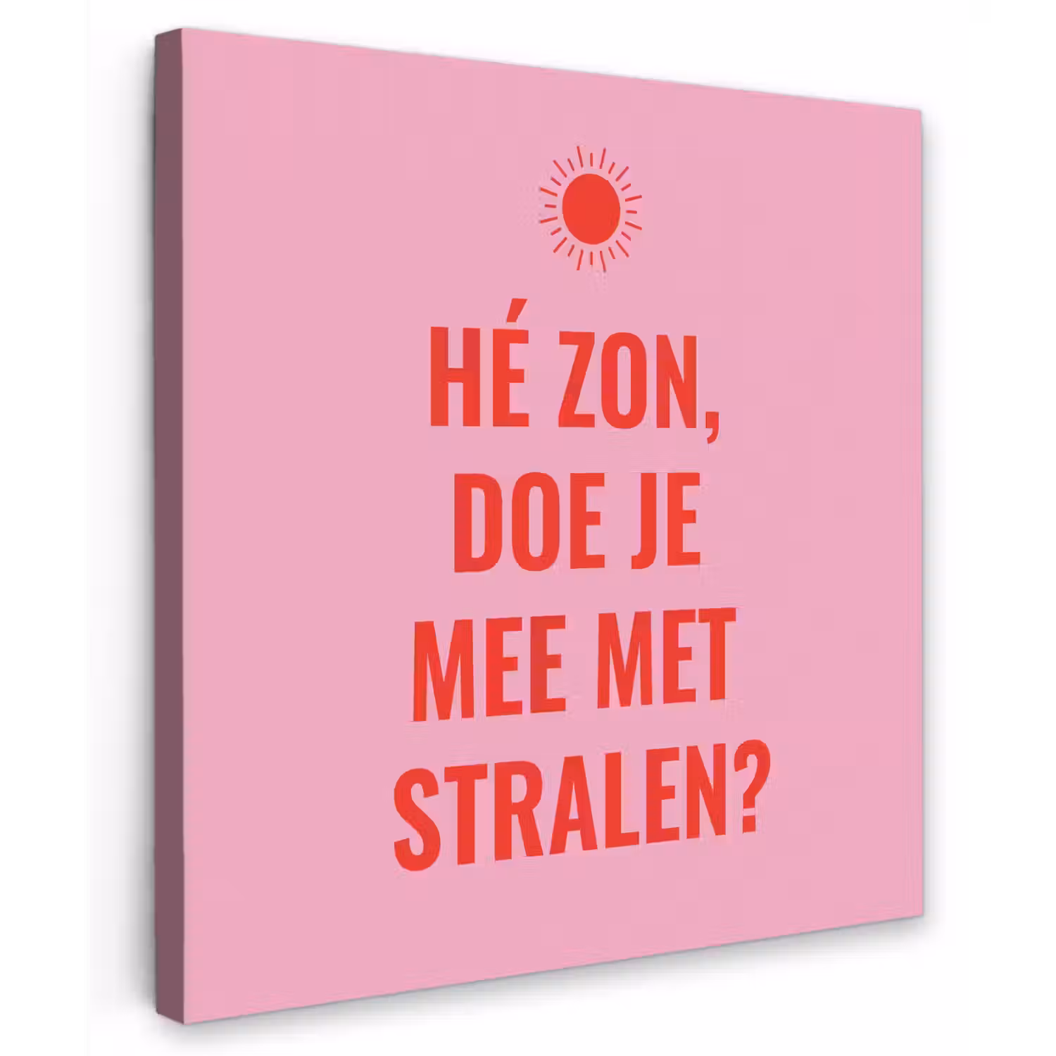 Roze - Zon - Quote Tuinposter op houten frame 2 cm dik middel -3d