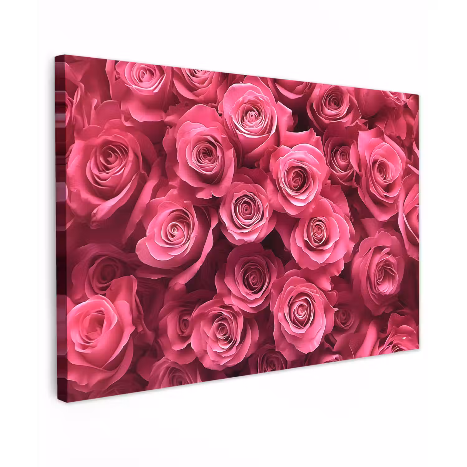 Rozen - Pink - Bloem Tuinposter op houten frame 2 cm dik klein -3d
