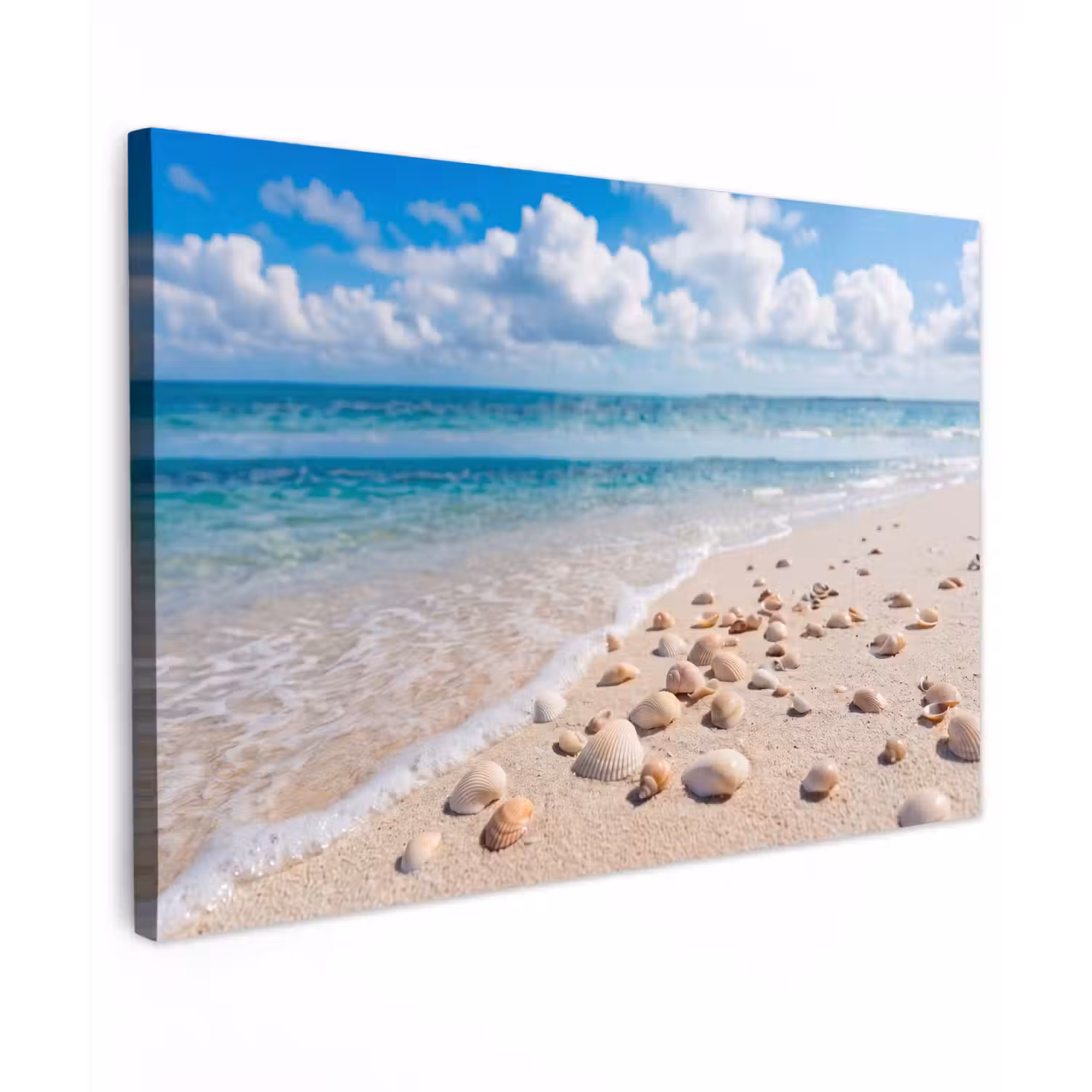 Schelpen - Strand - Natuur - Beige Tuinposter op houten frame 2 cm dik klein -3d