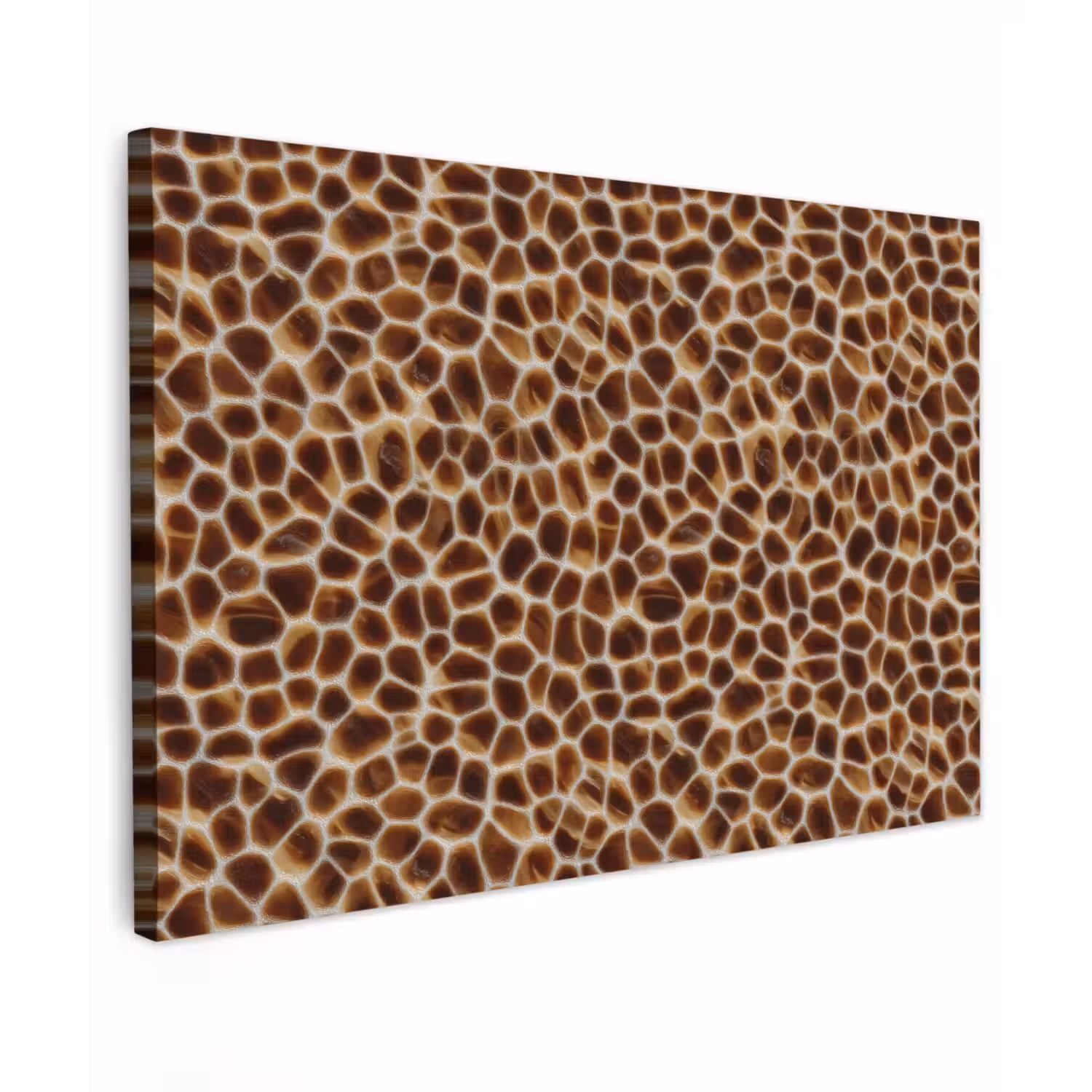 Schildpad - Bruin - Patroon Tuinposter op houten frame 2 cm dik klein 845 -3d