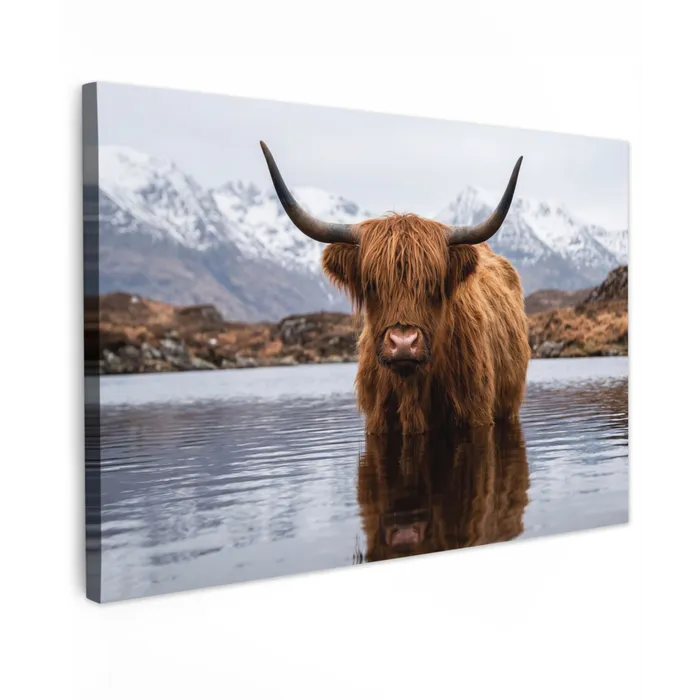 Schotse hooglander - Bruin - Water Tuinposter op houten frame 2 cm dik klein -3d