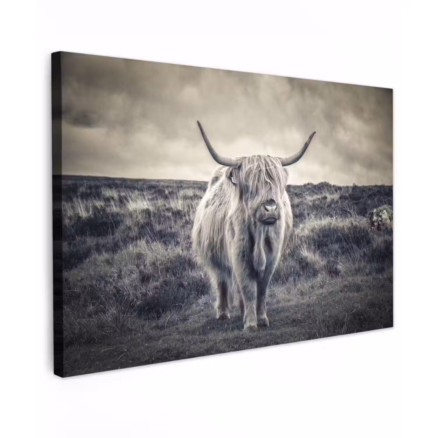 Schotse hooglander - Dieren - Wolken - Koe - Natuur Tuinposter op houten frame 2 cm dik klein -3d