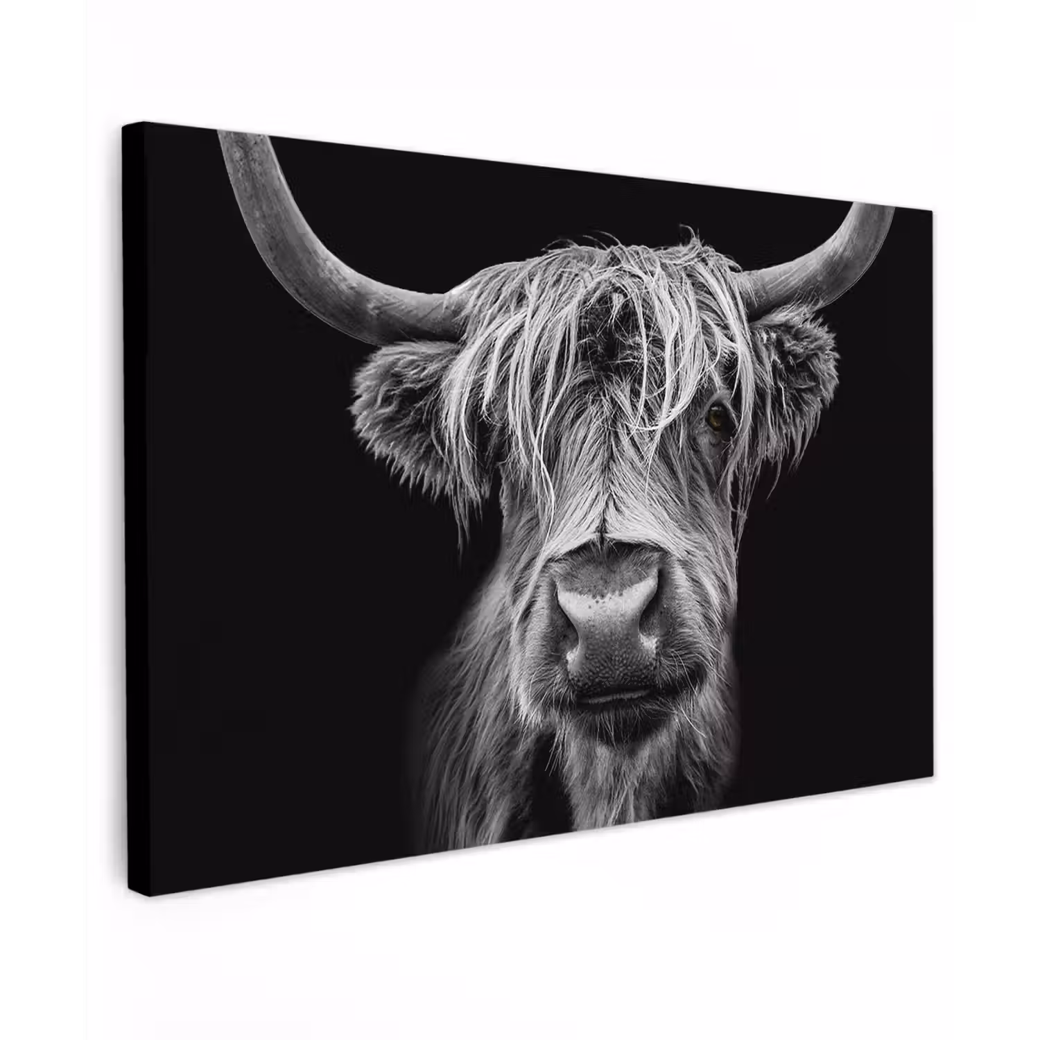 Schotse Hooglander - Horens - Zwart - Wit - Koe - Wild - Dieren Tuinposter op houten frame 2 cm dik klein -3d