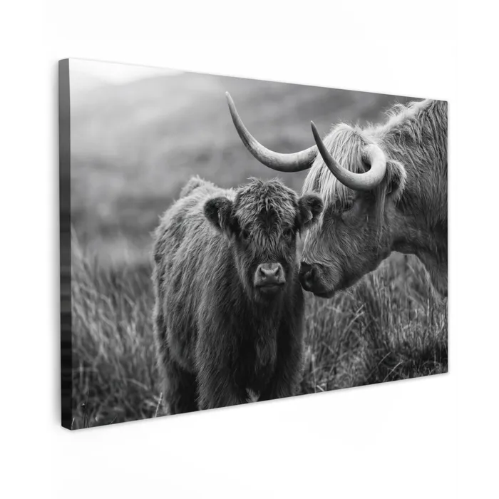 Schotse hooglander - Kalf - Zwart - Wit Tuinposter op houten frame 2 cm dik klein -3d