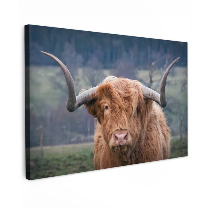 Schotse Hooglander - Koeienkop - Landschap - Natuur - Koe Tuinposter op houten frame 2 cm dik klein -3d