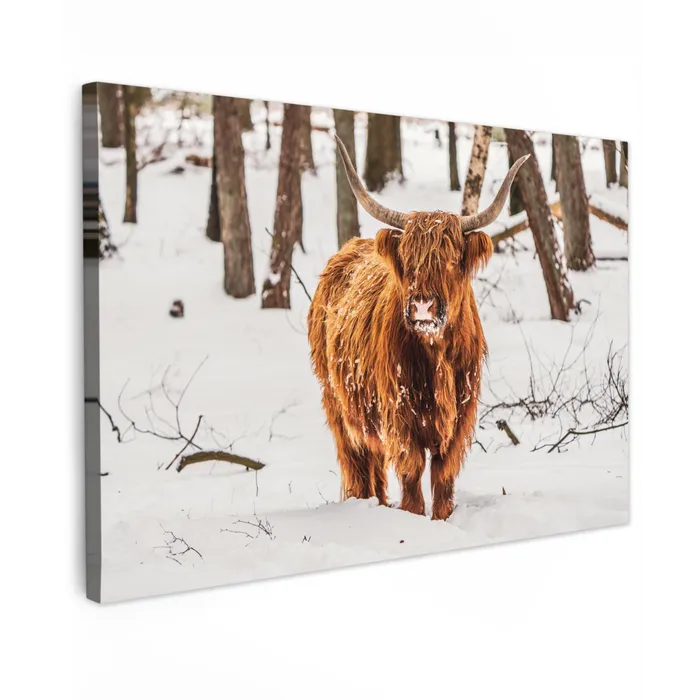 Schotse Hooglander - Sneeuw - Winter - Natuur - Dieren Tuinposter op houten frame 2 cm dik klein -3d
