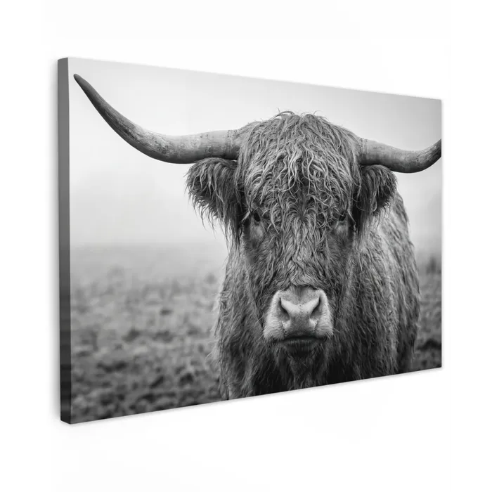 Schotse hooglander - Zwart - Wit - Gras Tuinposter op houten frame 2 cm dik klein -3d
