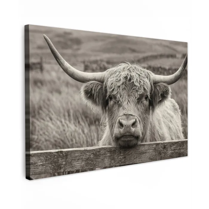 Schotse hooglander - Zwart - Wit - Hout Tuinposter op houten frame 2 cm dik klein -3d