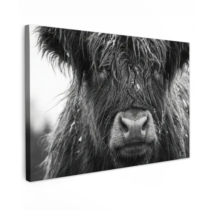Schotse hooglander - Zwart - Wit - Sneeuwvlokken Tuinposter op houten frame 2 cm dik klein -3d