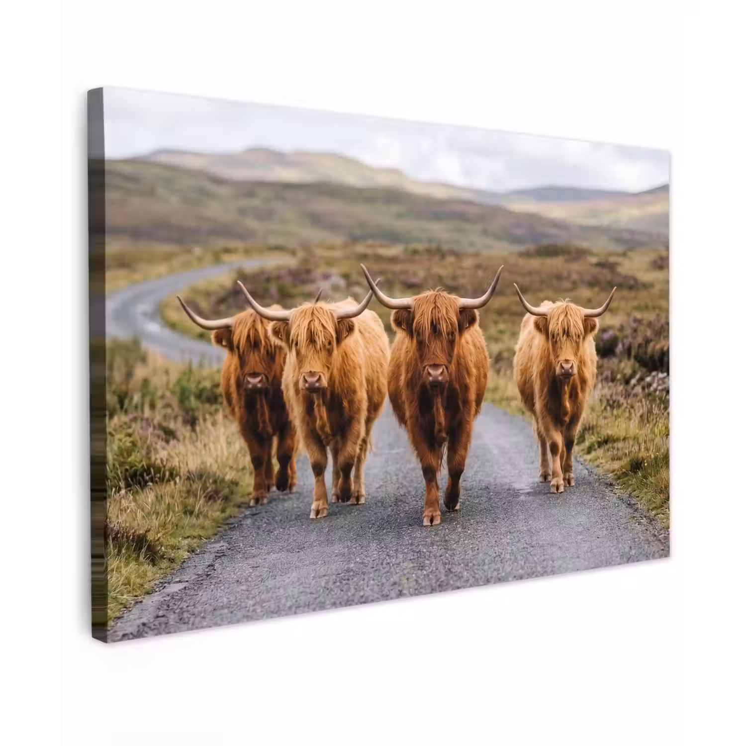 Schotse Hooglanders - Weg - Landschap - Kudde Tuinposter op houten frame 2 cm dik klein -3d