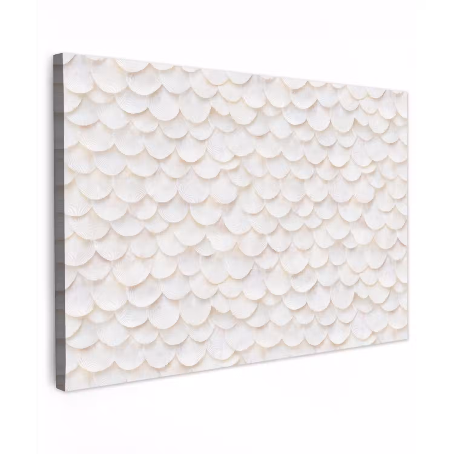Schubben - Wit - Elegant Tuinposter op houten frame 2 cm dik klein 845 -3d