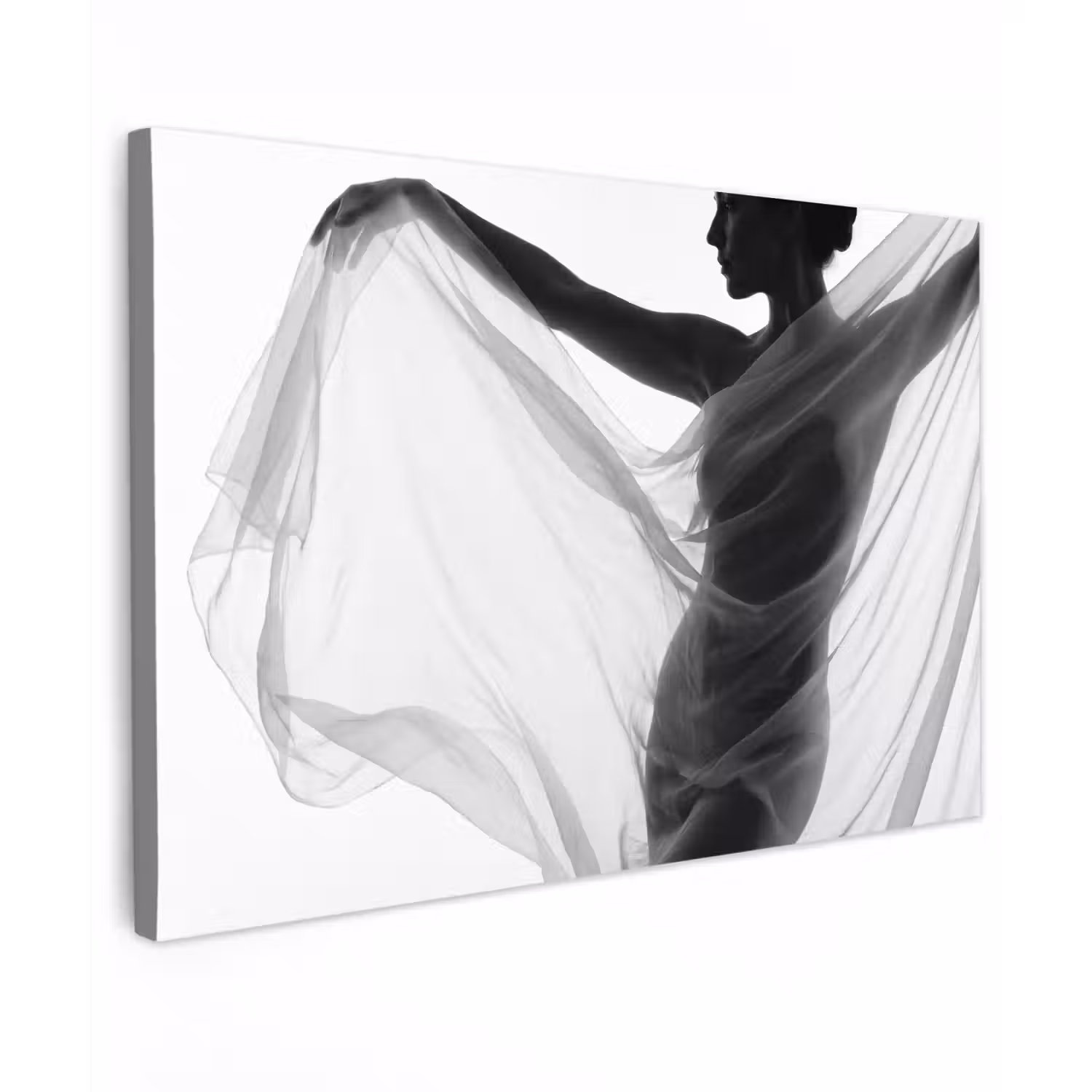 Silhouet - Sluier - Vormen - Zwart - Wit - Sensueel Tuinposter op houten frame 2 cm dik klein -3d
