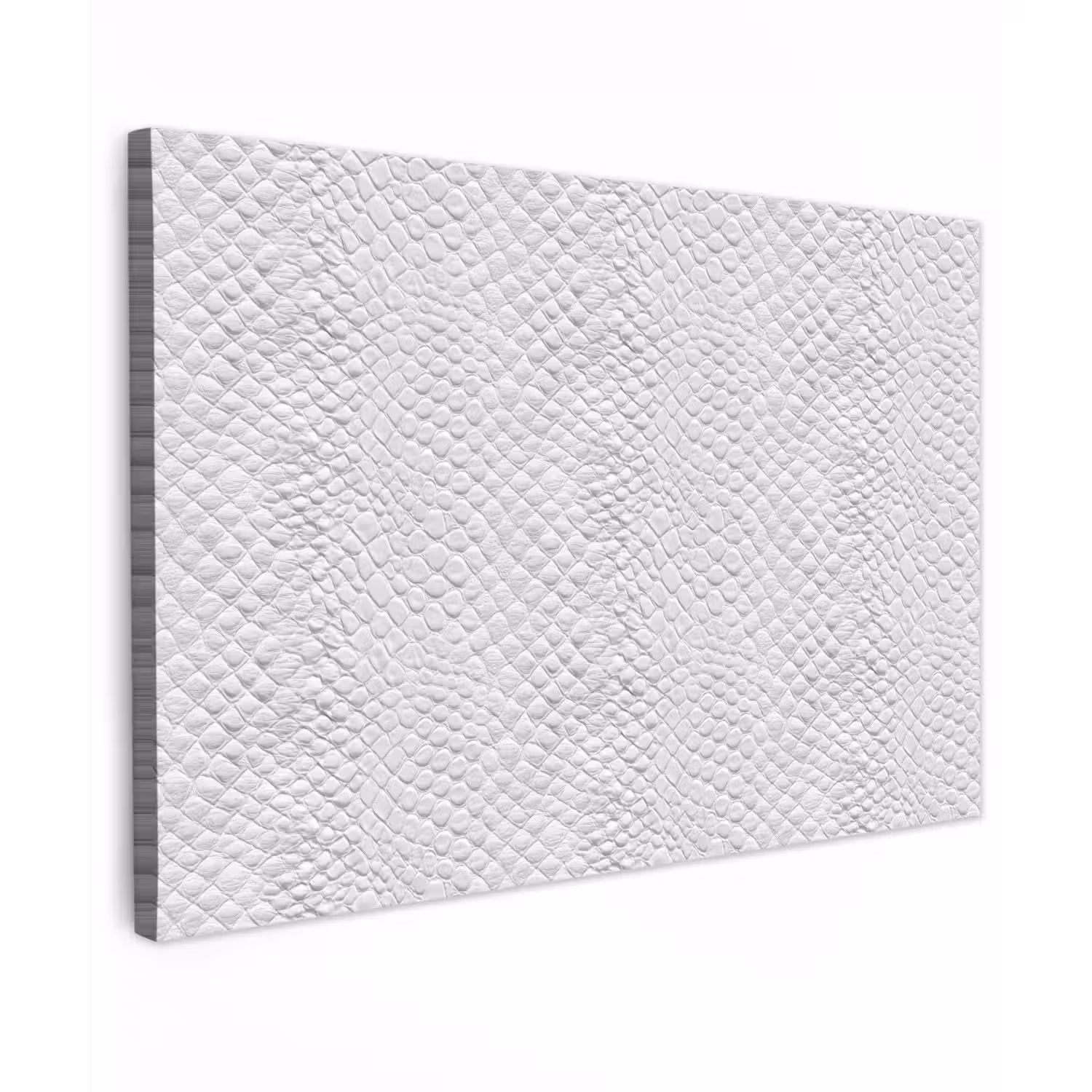 Slang - Patroon - Wit Tuinposter op houten frame 2 cm dik klein 845 -3d