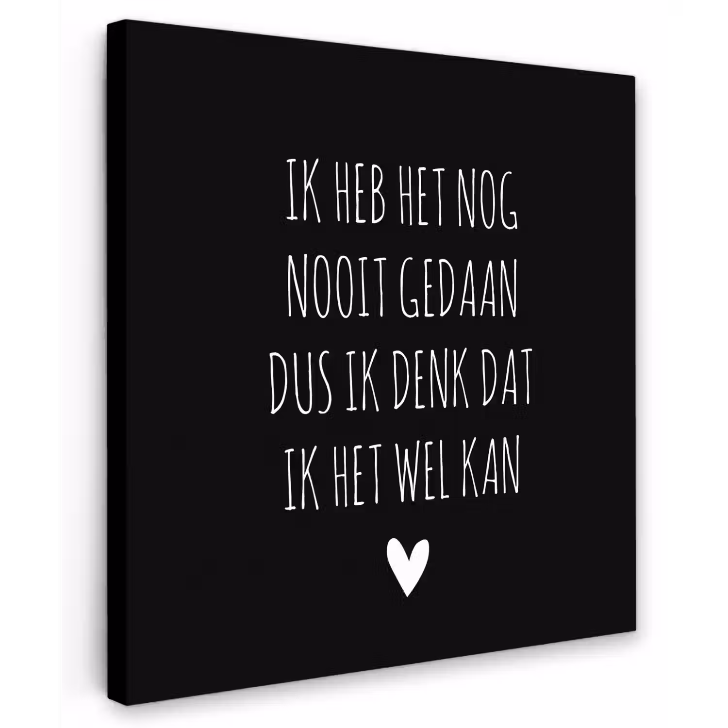 Spreuken - Ik heb het nog nooit gedaan dus - Quotes Tuinposter op houten frame 2 cm dik middel -3d