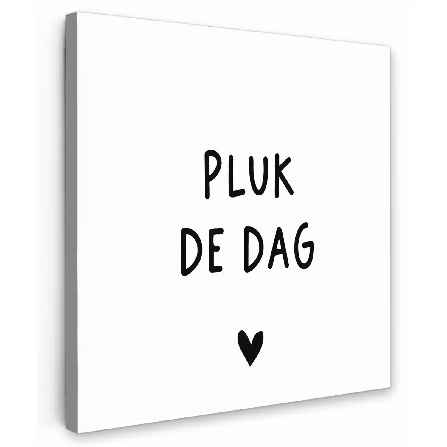 Spreuken - Quotes - Pluk de dag - Carpe diem Tuinposter op houten frame 2 cm dik middel -3d