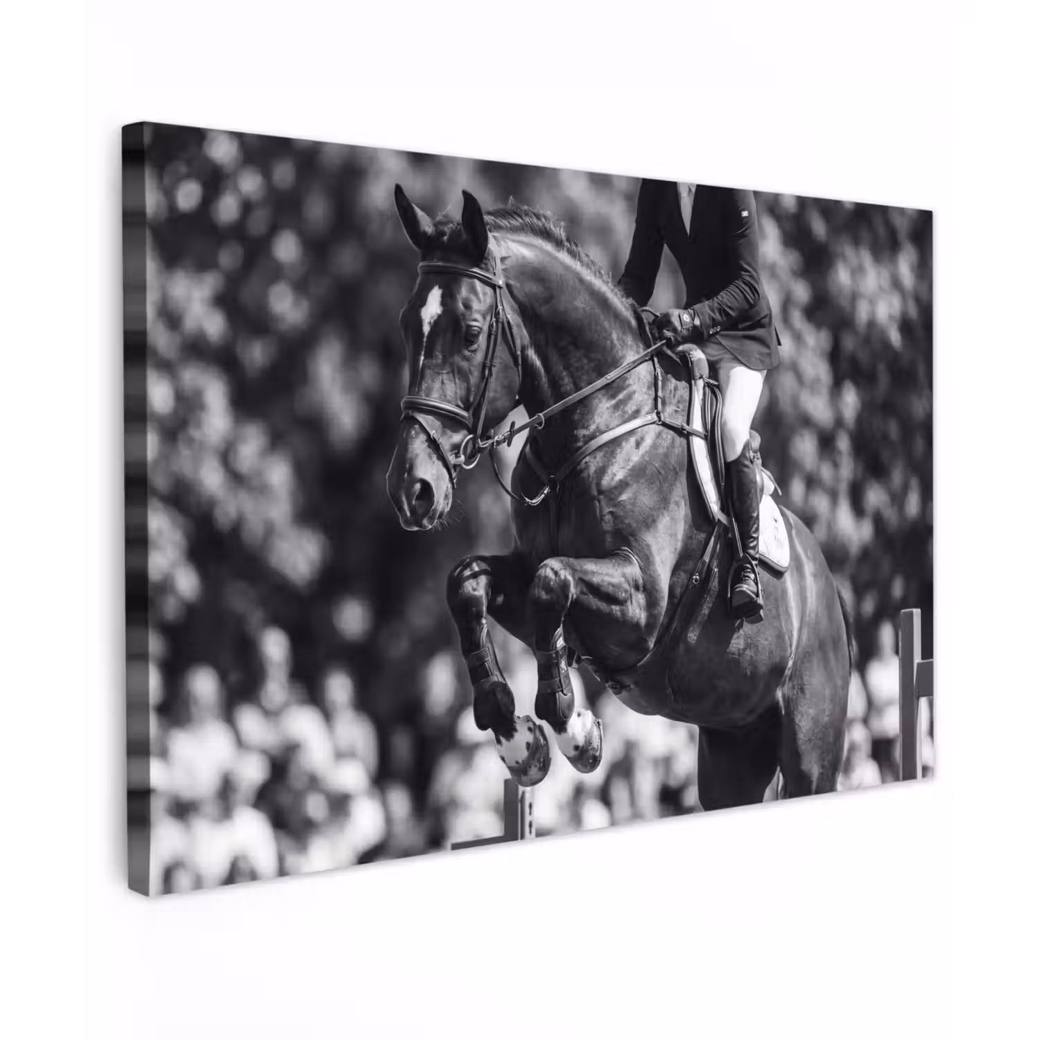 Springen - Paard - Zwart - Wit Tuinposter op houten frame 2 cm dik klein -3d
