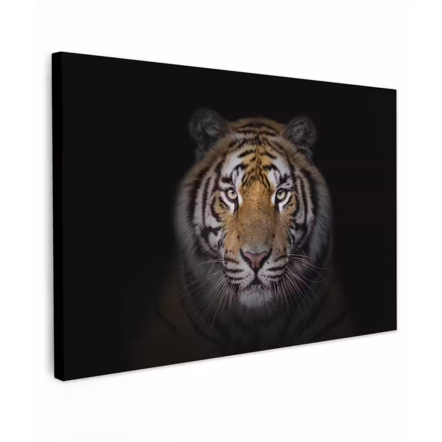 Tijger - Wilde dieren - Portret - Zwart - Dieren Tuinposter op houten frame 2 cm dik klein -3d