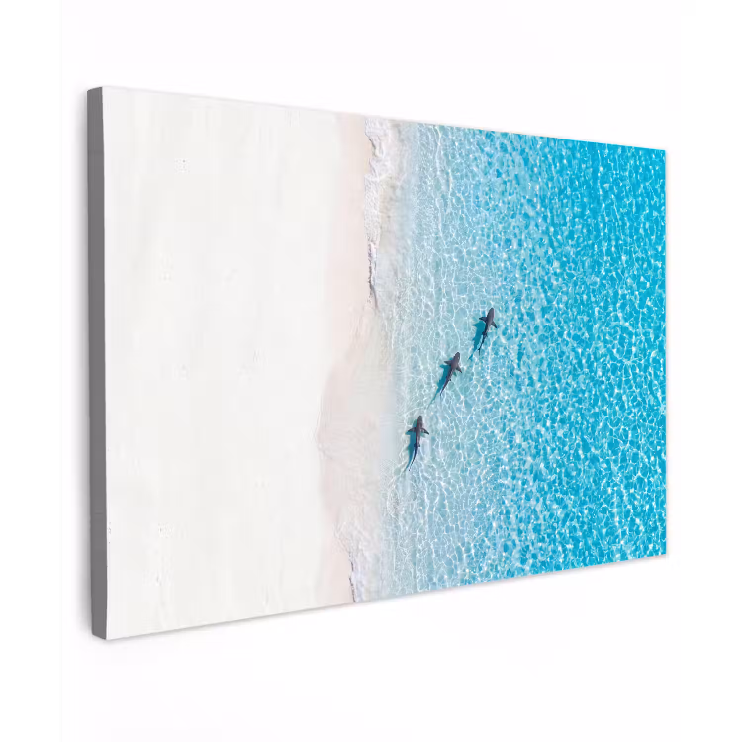 Vis - Oceaan - Strand - Turquoise - Natuur Tuinposter op houten frame 2 cm dik klein -3d