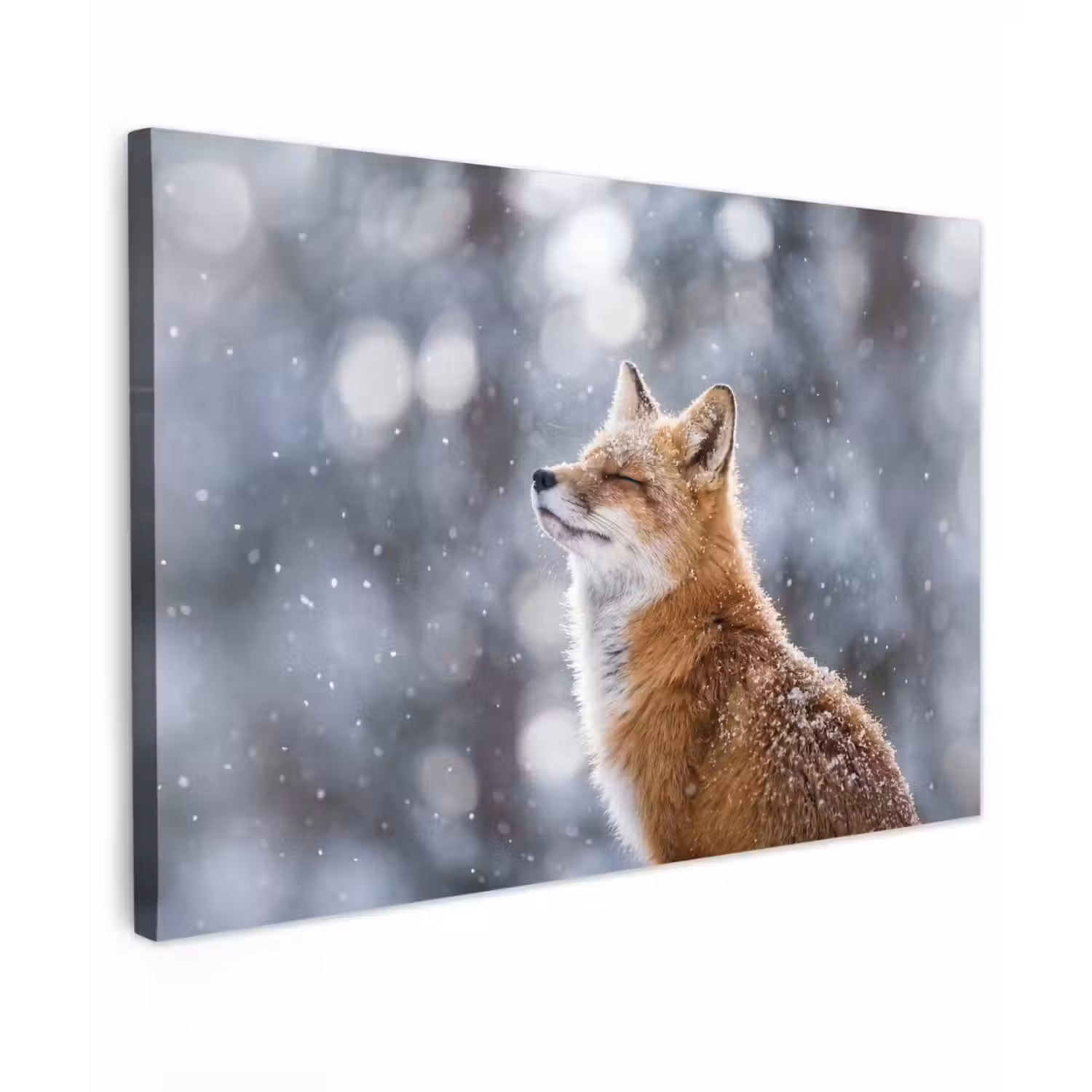 Vos - Sneeuwval - Portret - Winter - Sfeervol Tuinposter op houten frame 2 cm dik klein -3d