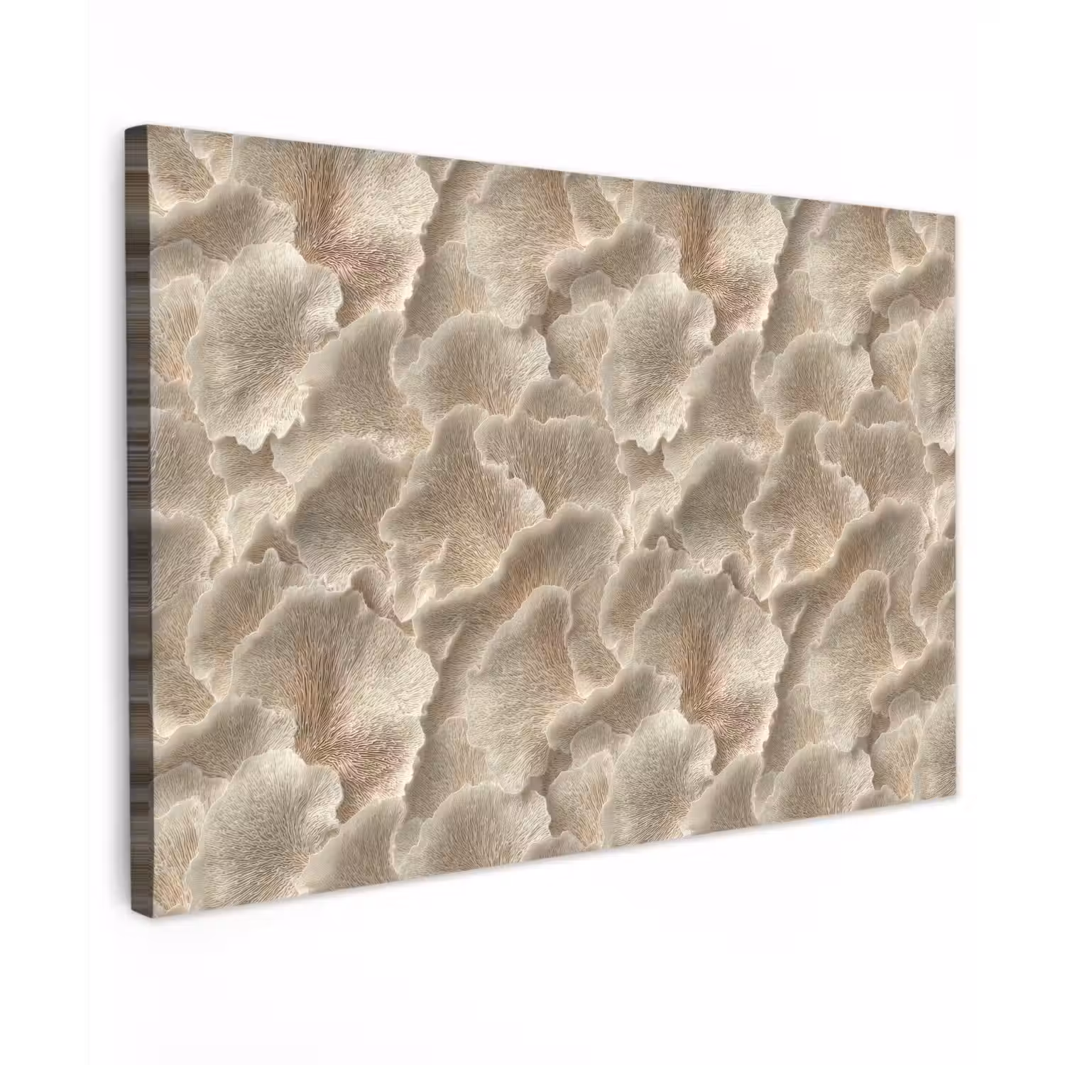 Waaierstructuren - Beige - Vezeltextuur Tuinposter op houten frame 2 cm dik klein 845 -3d